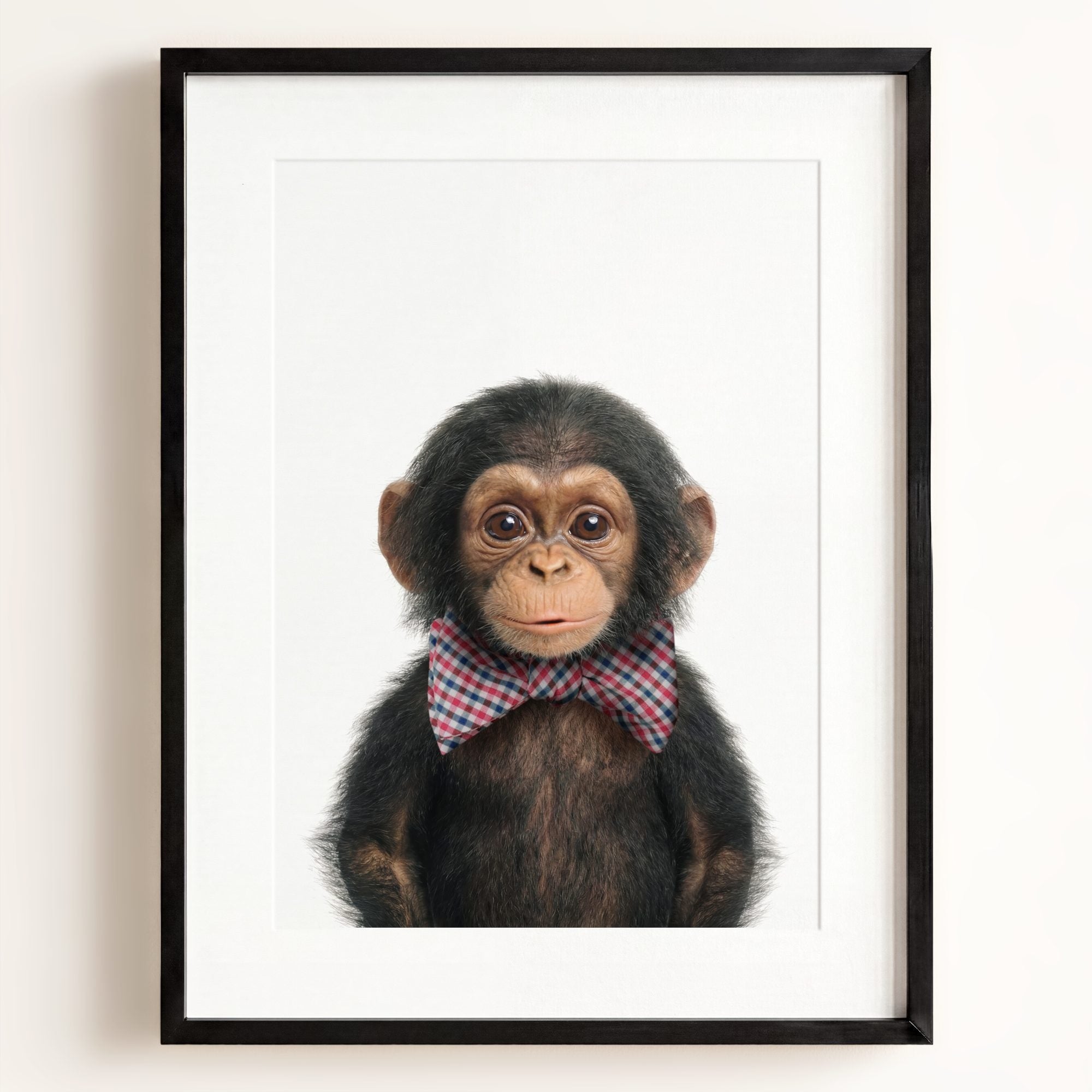 Baby Chimpanzee