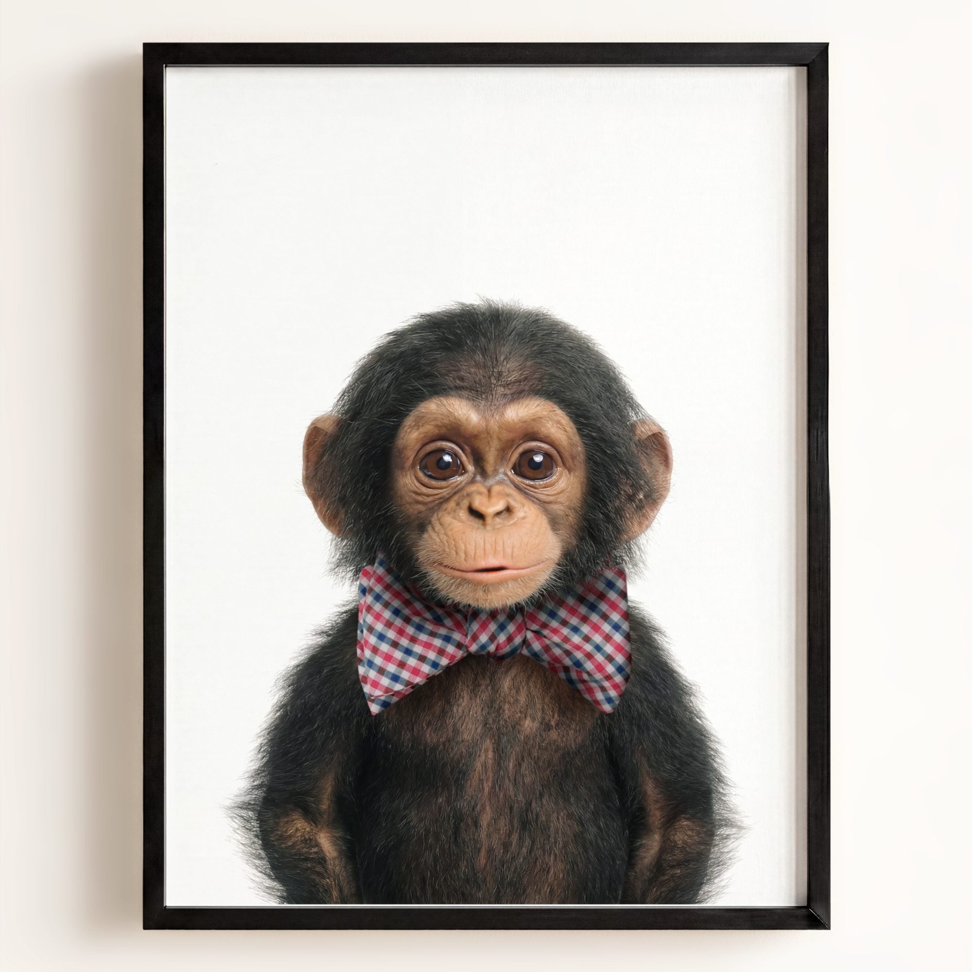Baby Chimpanzee