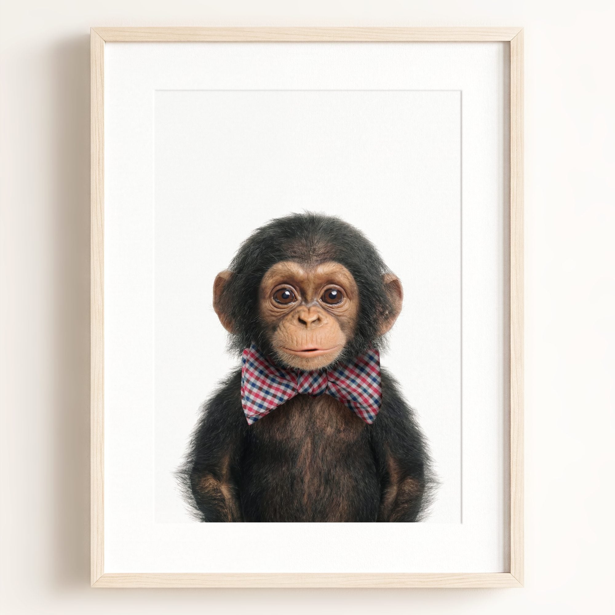 Baby Chimpanzee