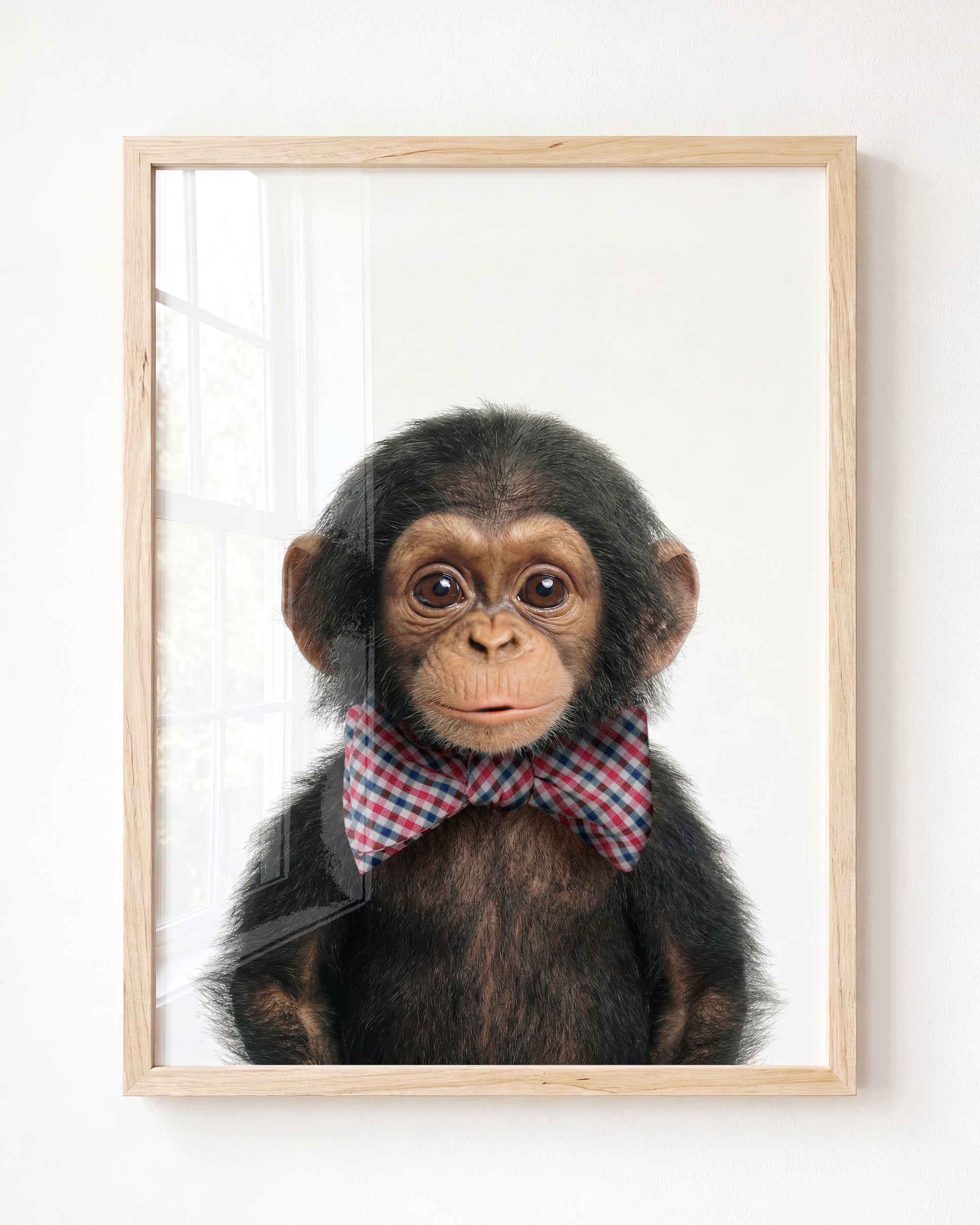 Baby Chimpanzee