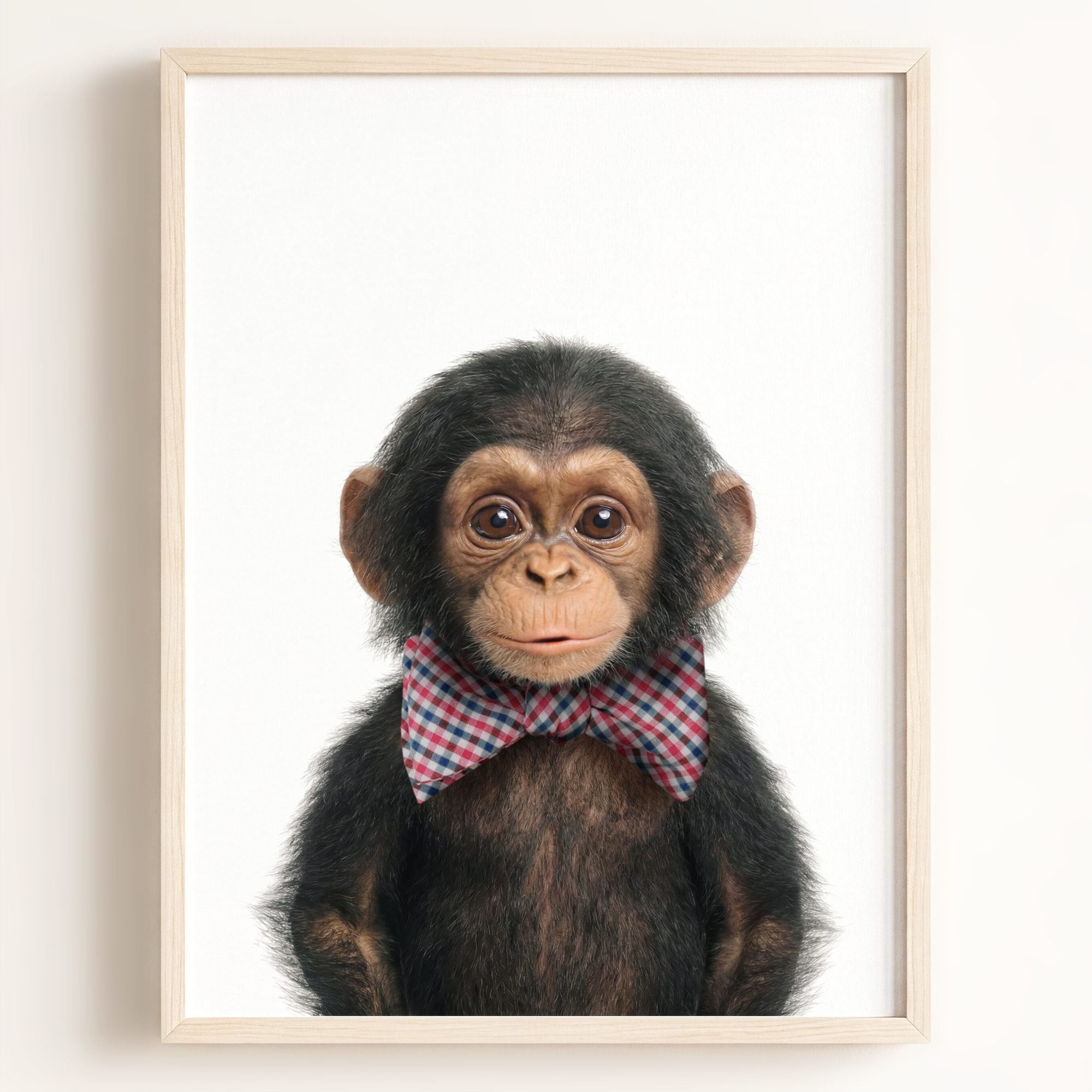 Baby Chimpanzee