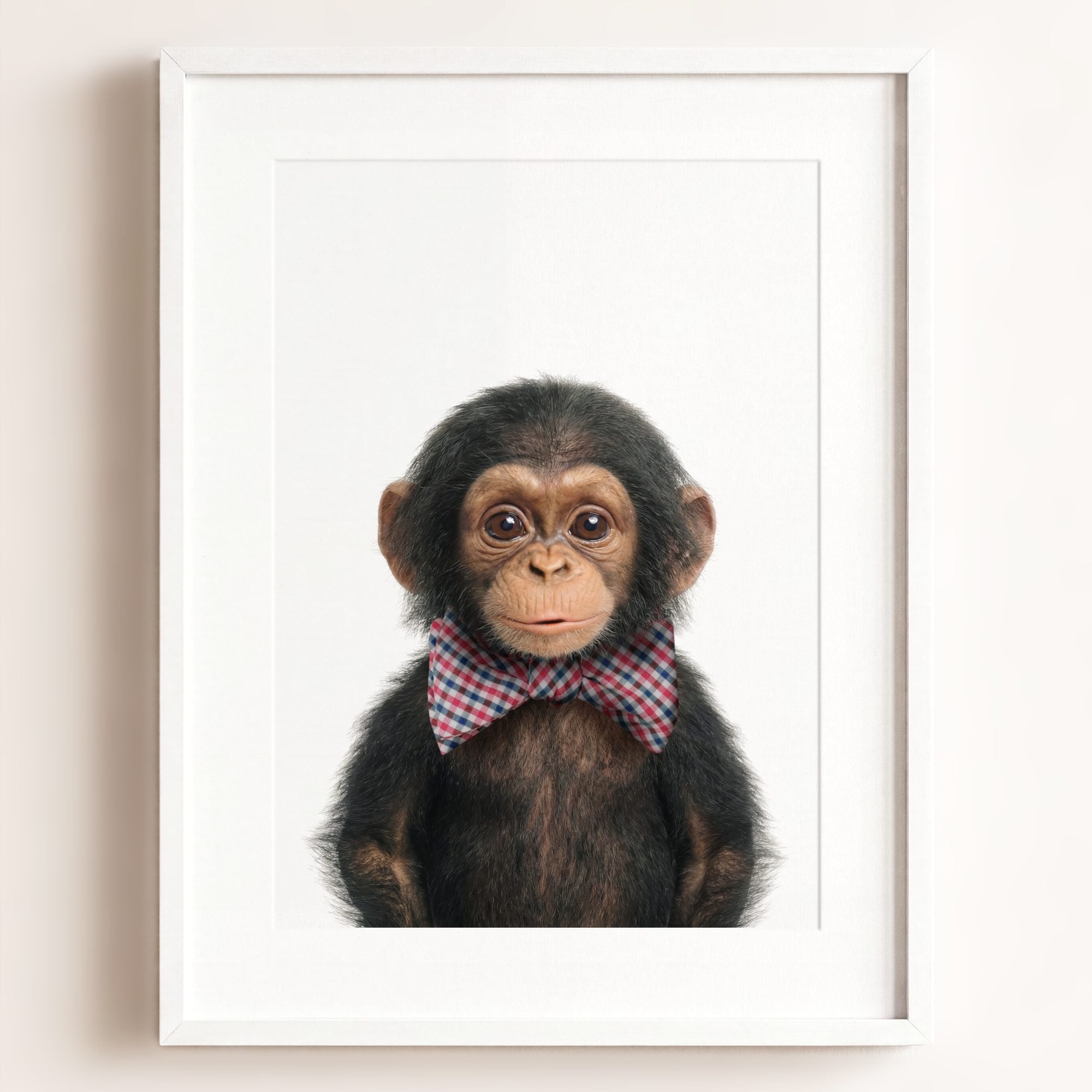 Baby Chimpanzee