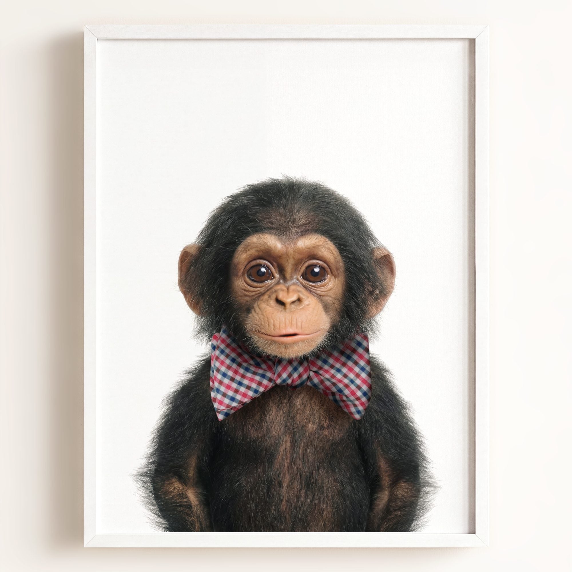 Baby Chimpanzee