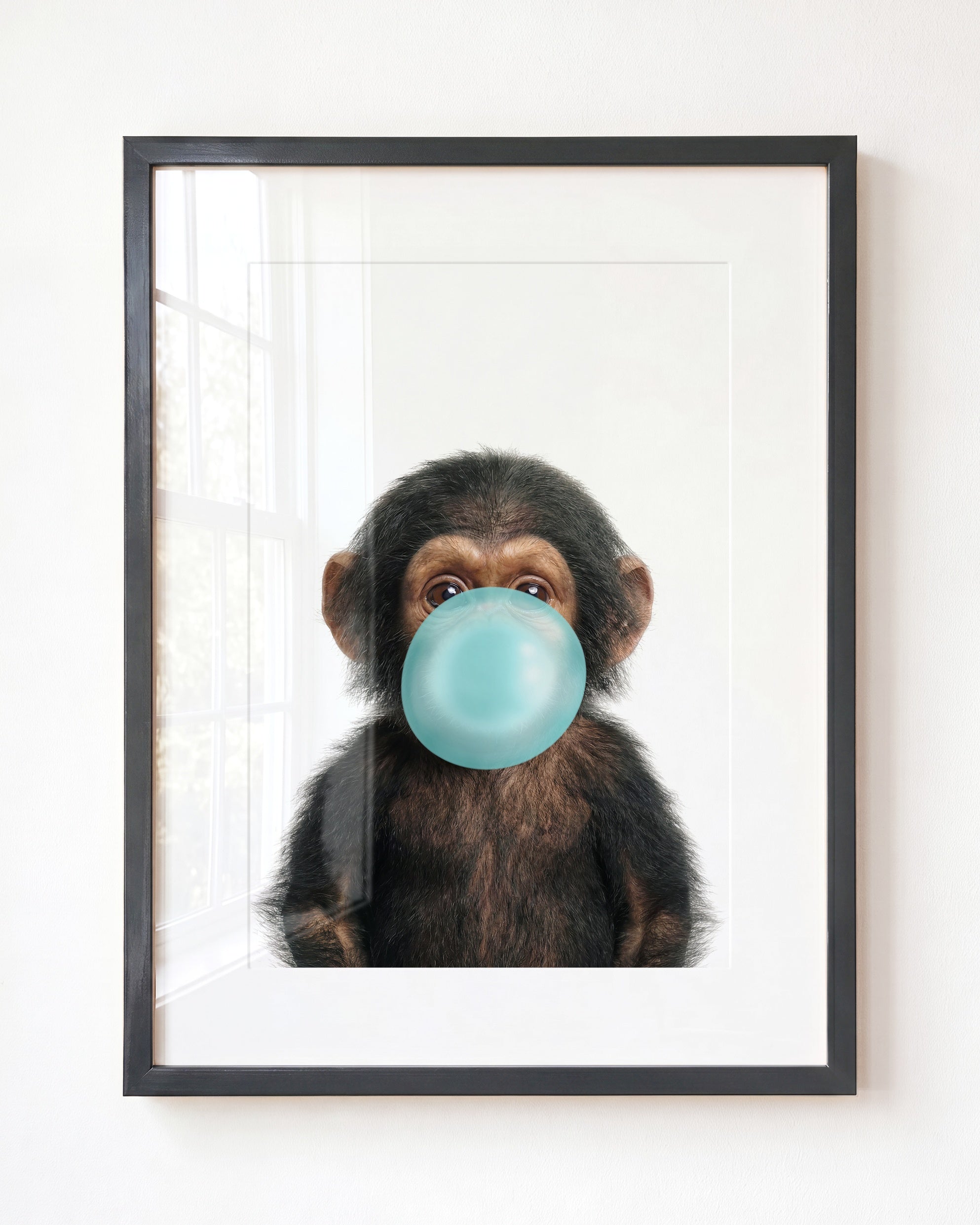 Baby Chimpanzee