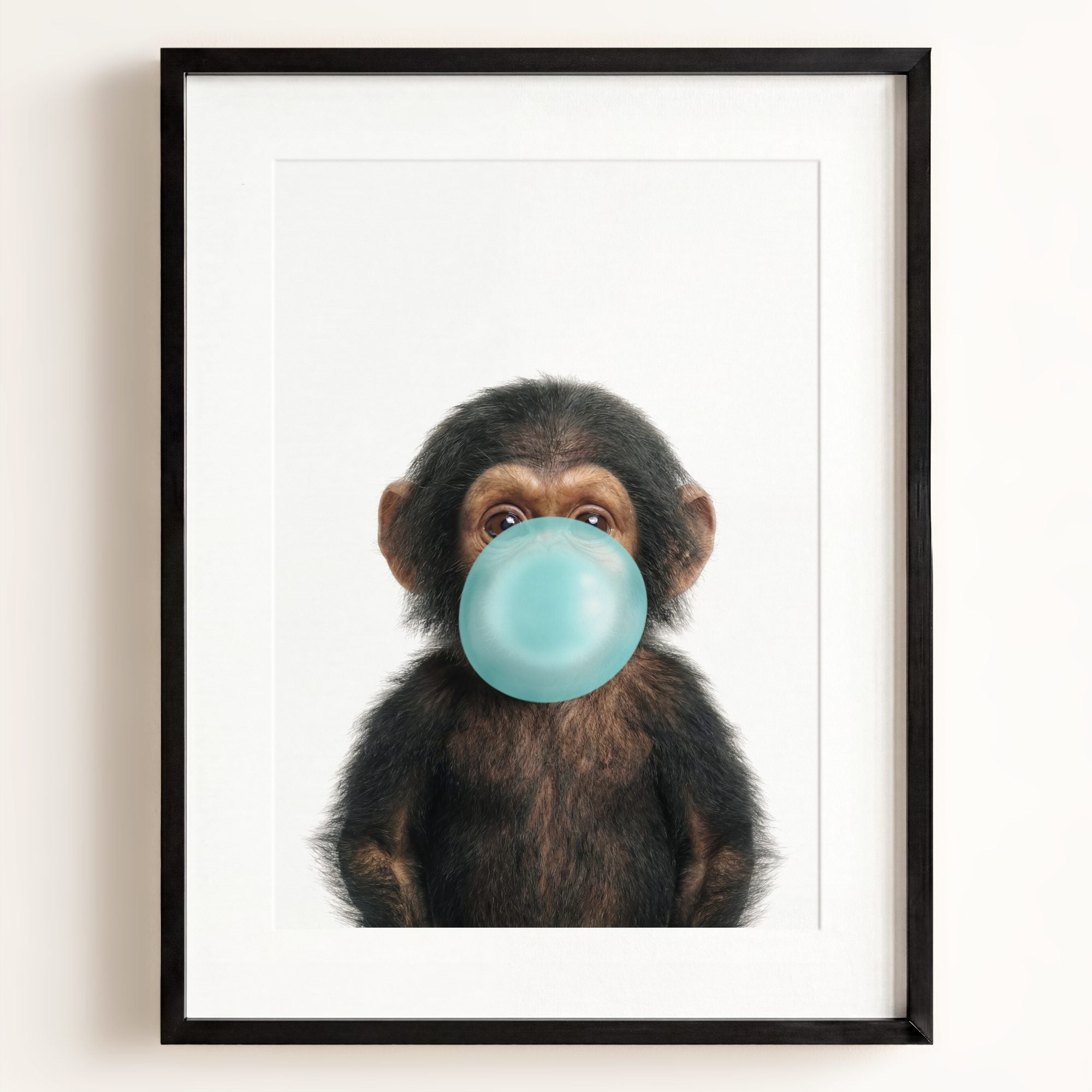 Baby Chimpanzee