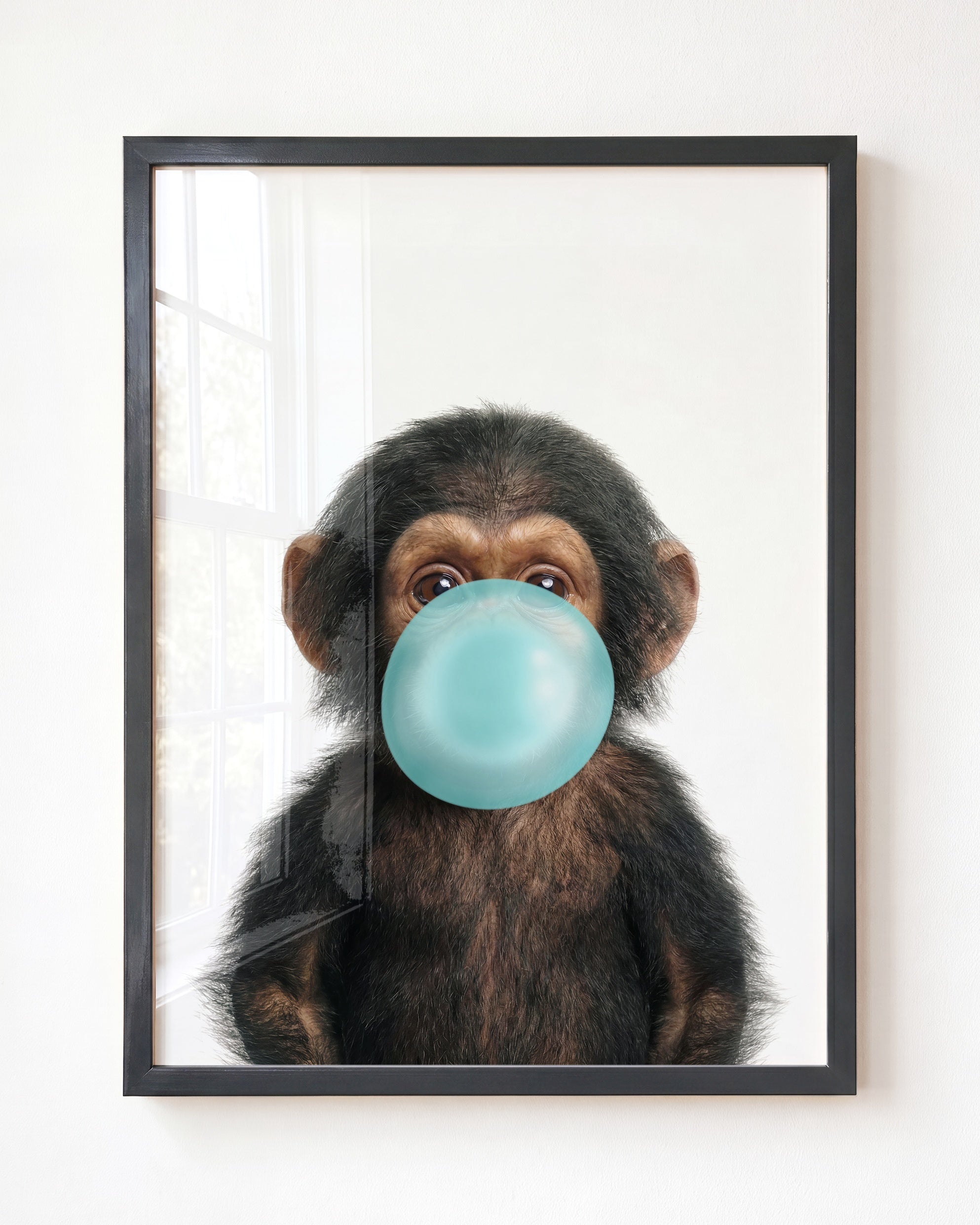 Baby Chimpanzee