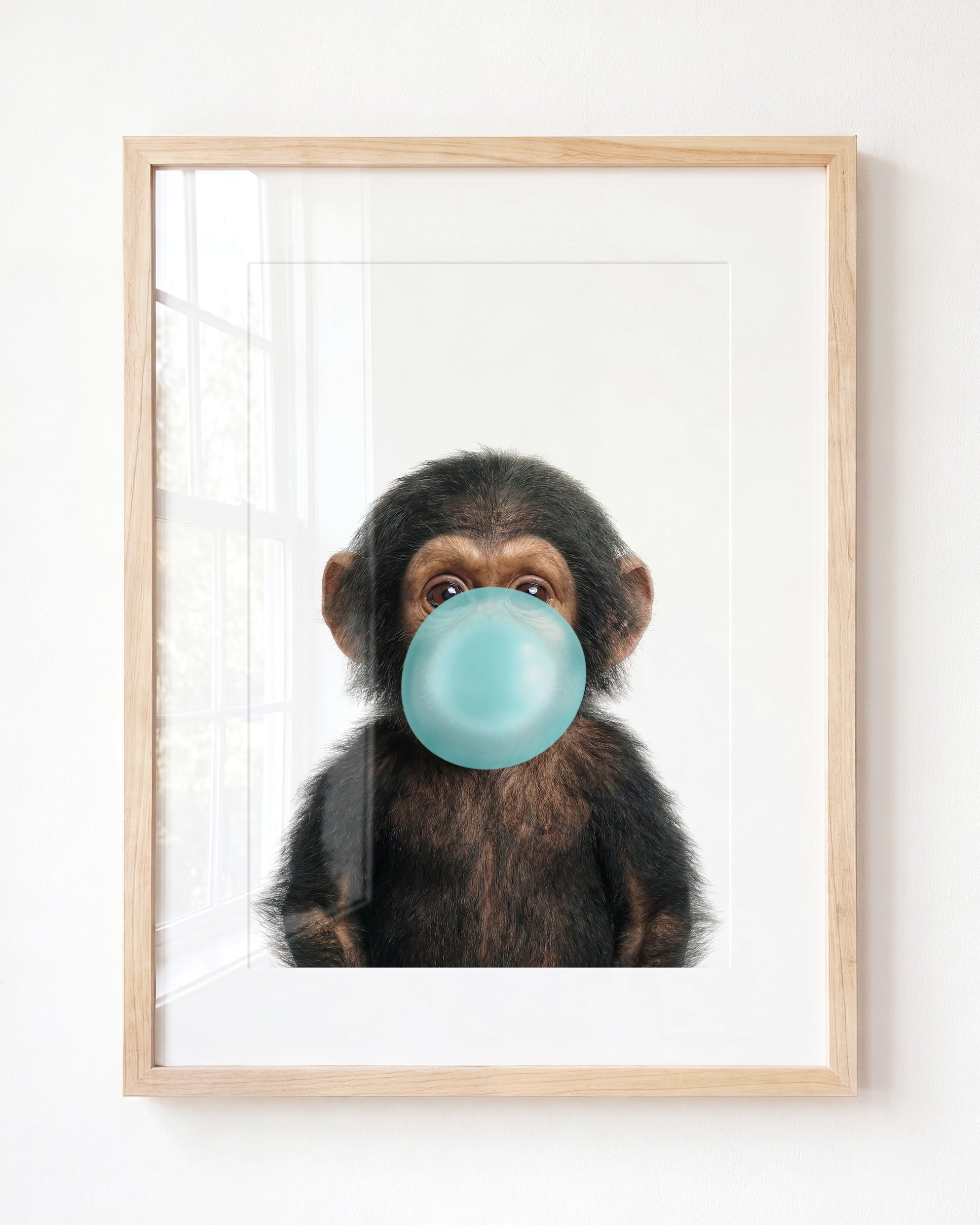 Baby Chimpanzee