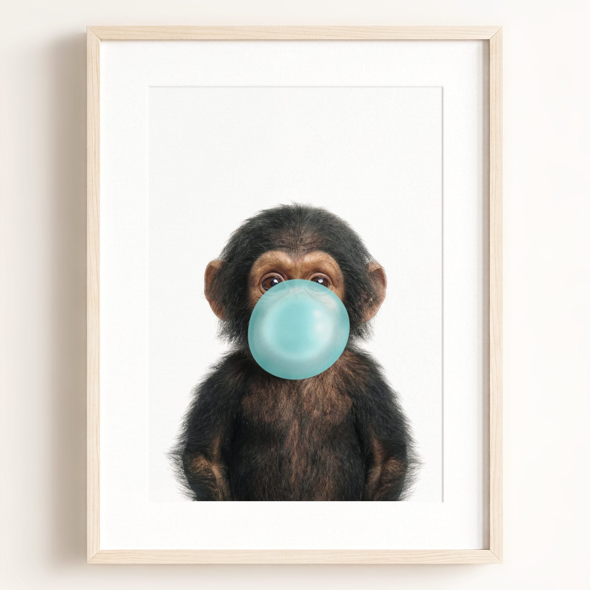 Baby Chimpanzee