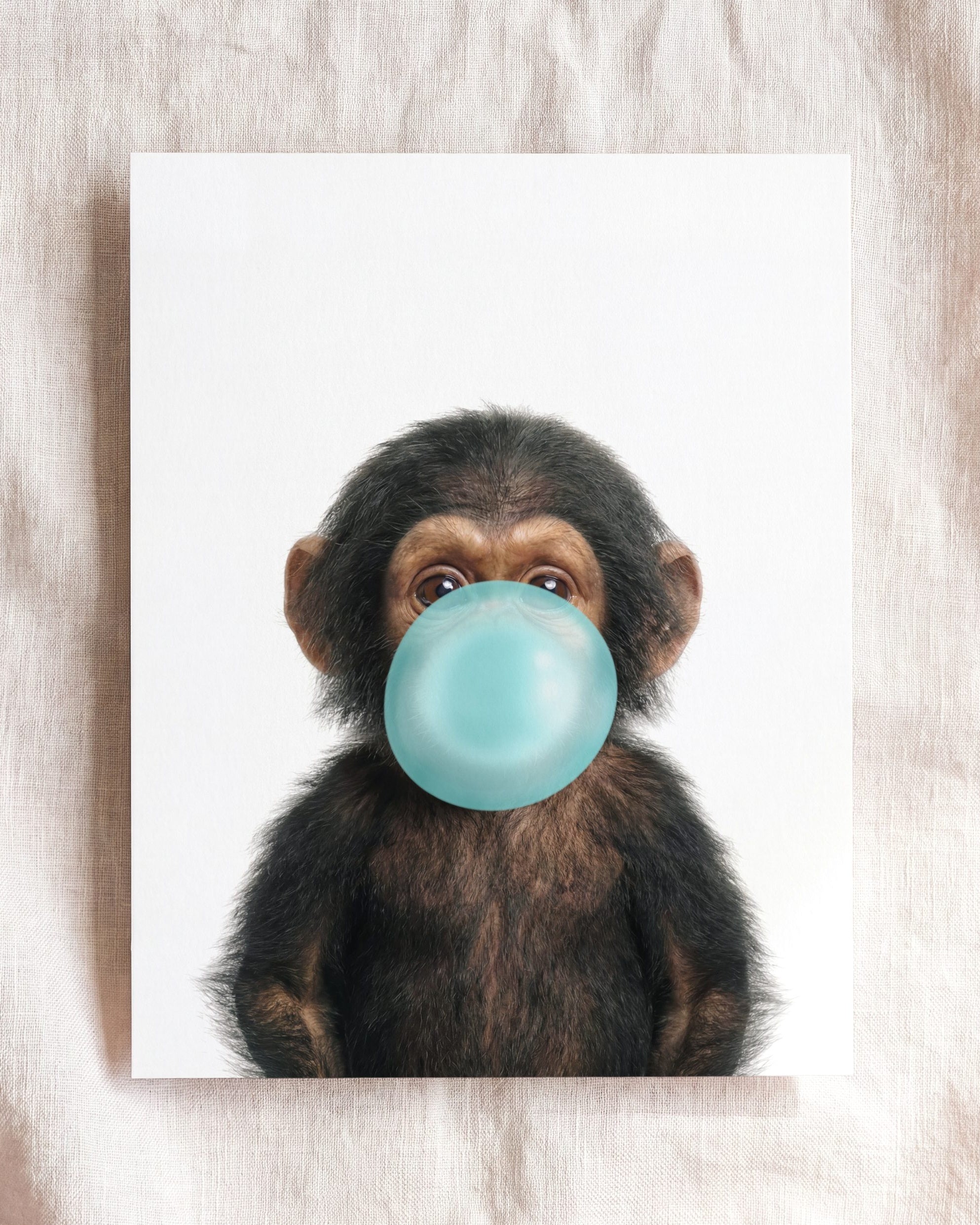 Baby Chimpanzee