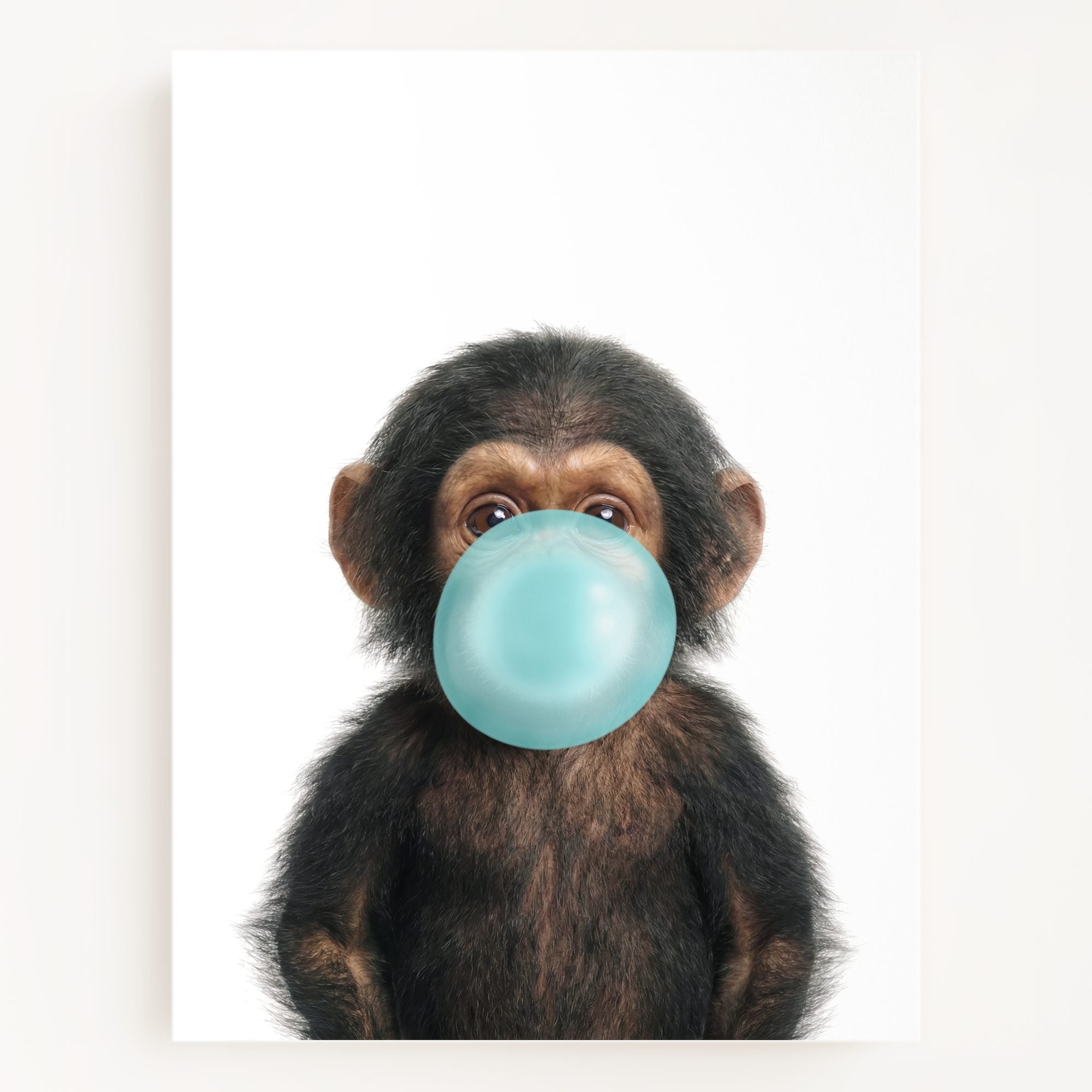 Baby Chimpanzee