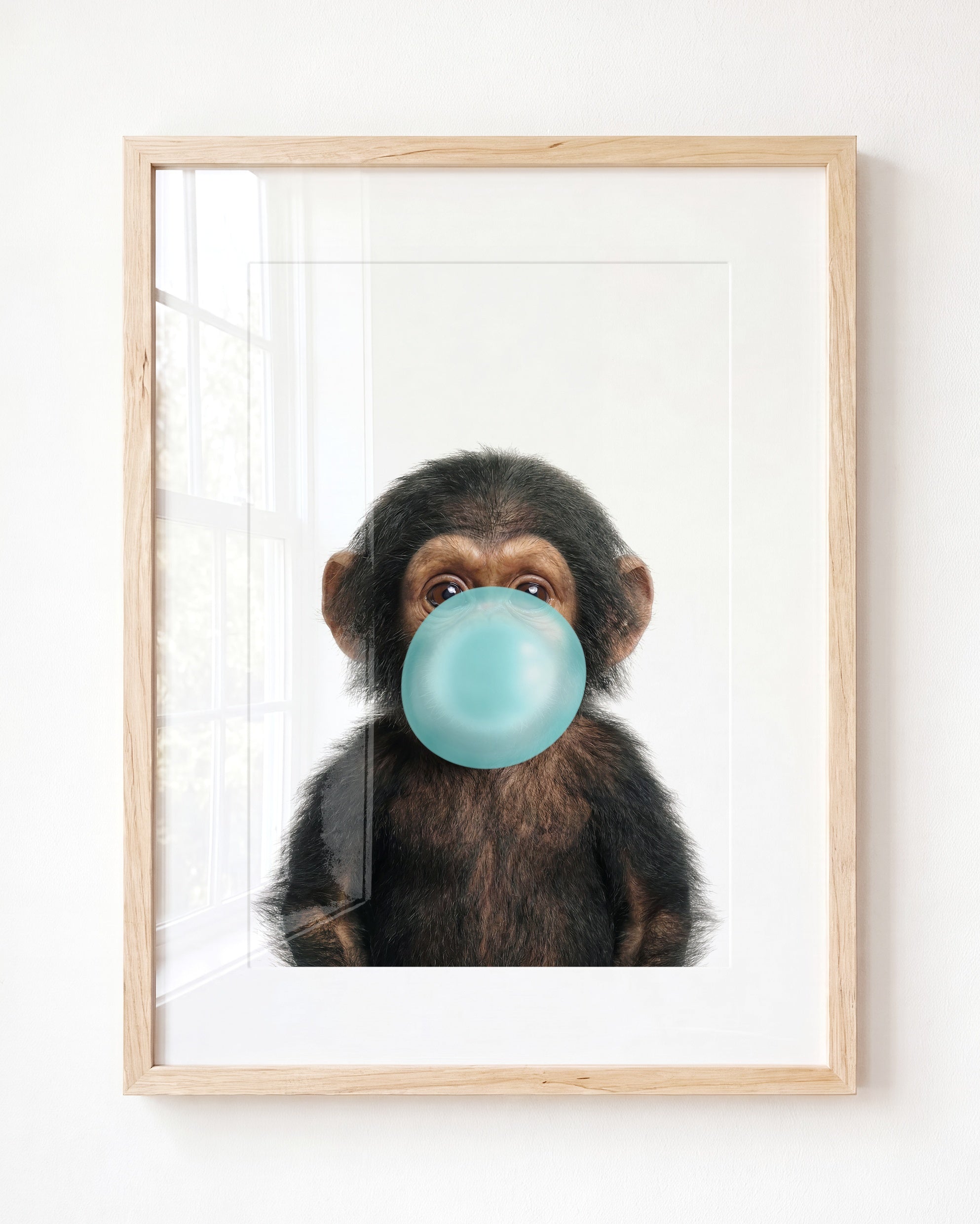 Baby Chimpanzee