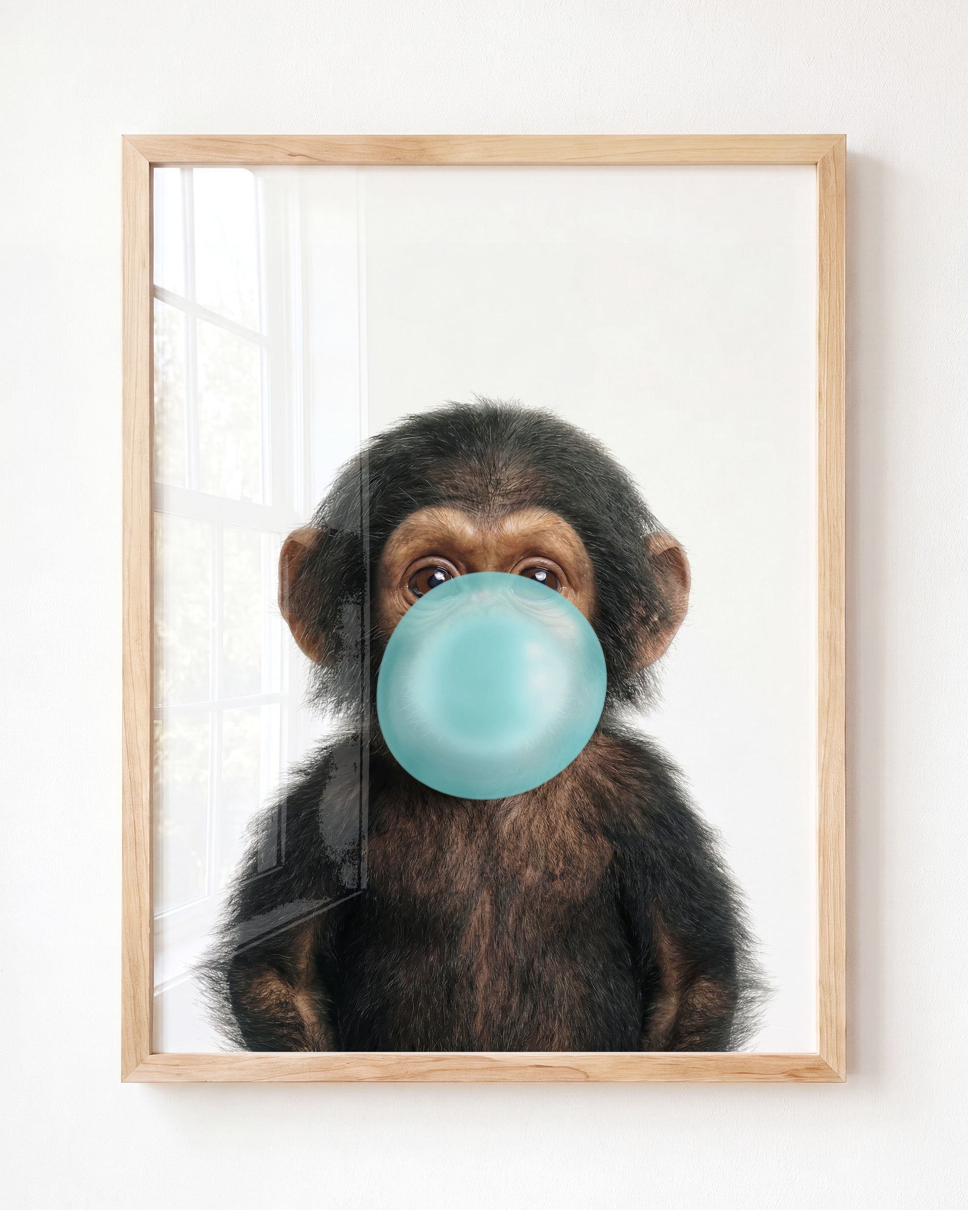 Baby Chimpanzee