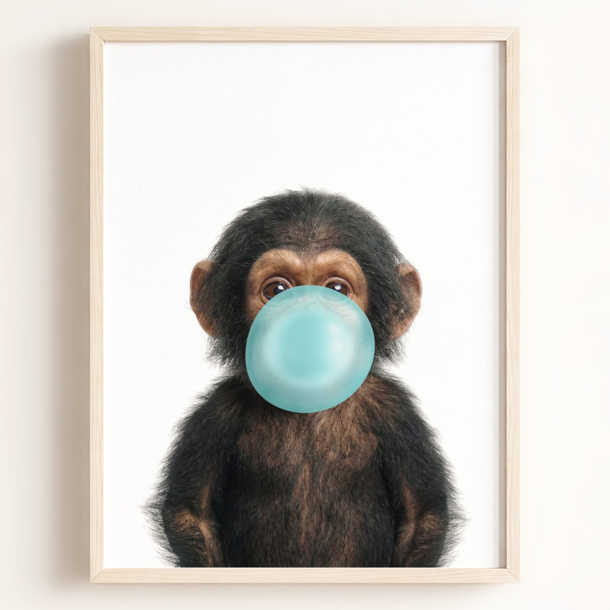 Baby Chimpanzee