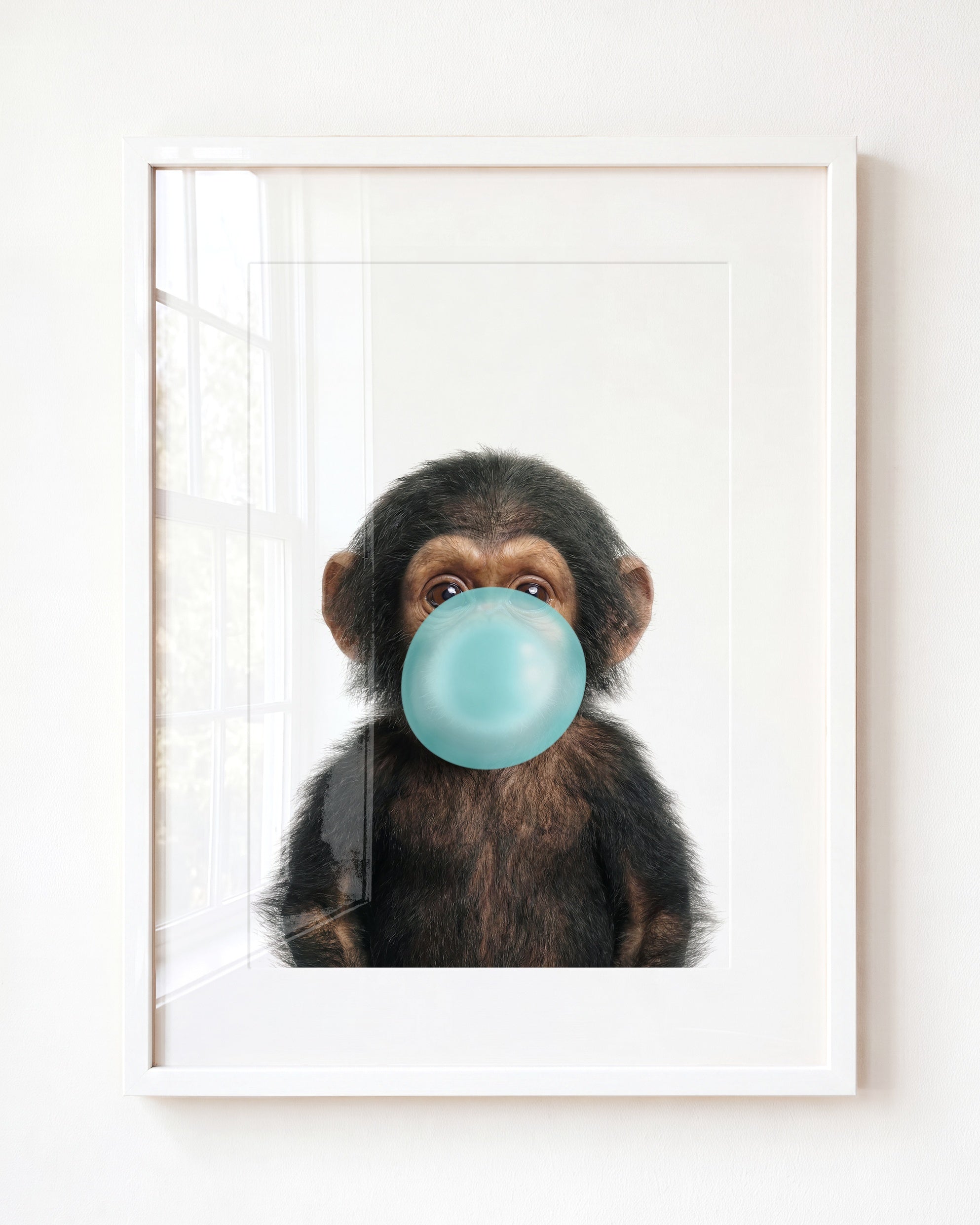 Baby Chimpanzee