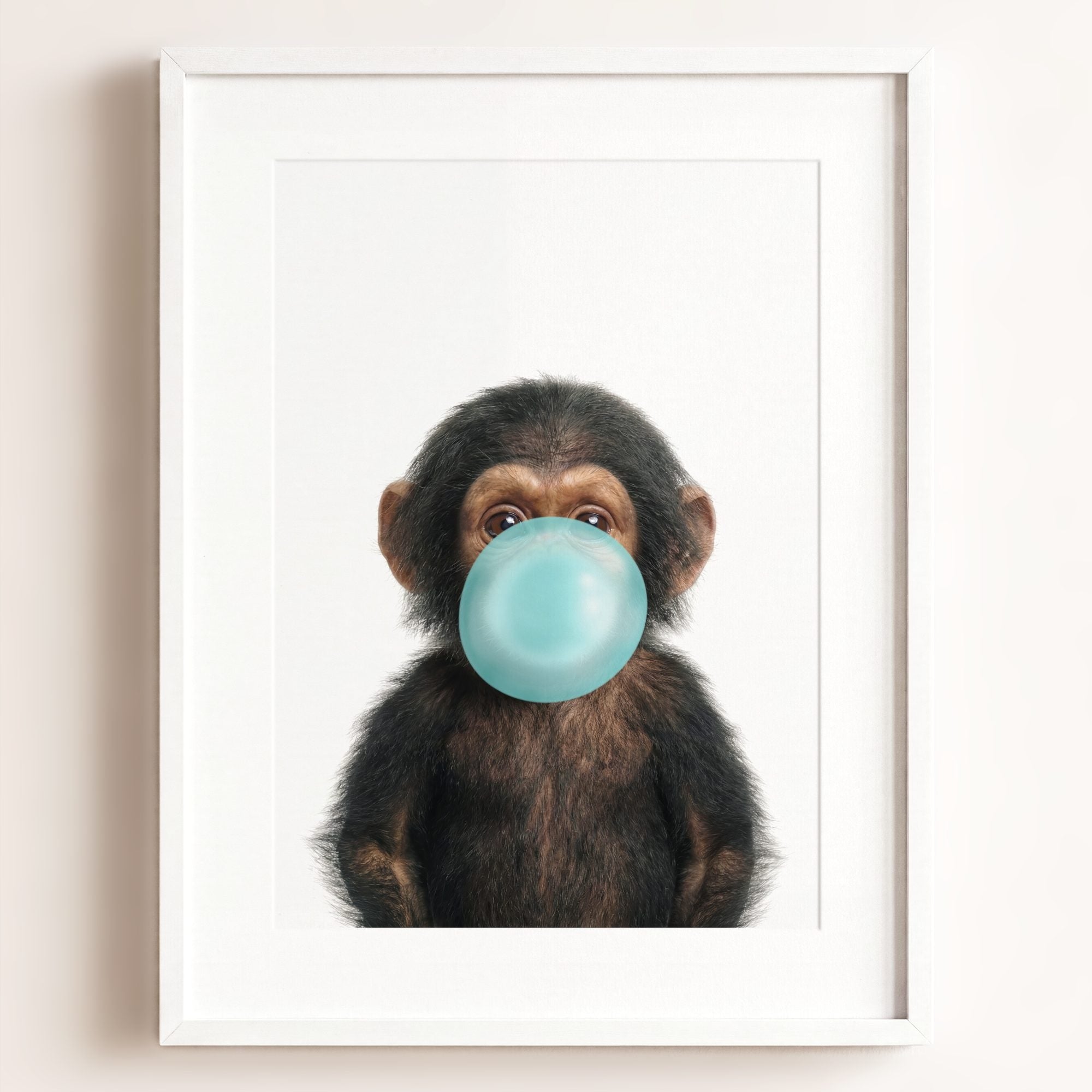 Baby Chimpanzee