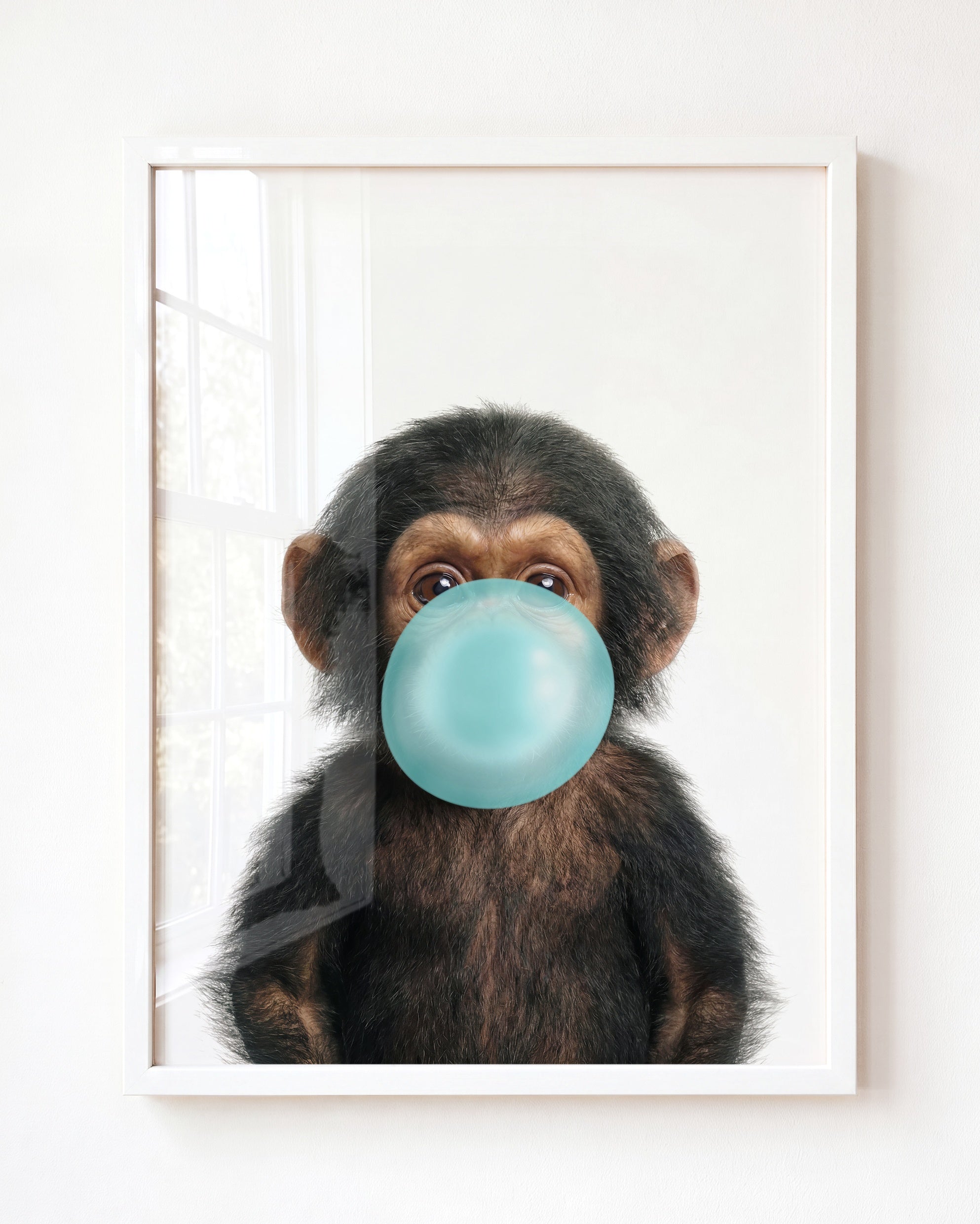 Baby Chimpanzee