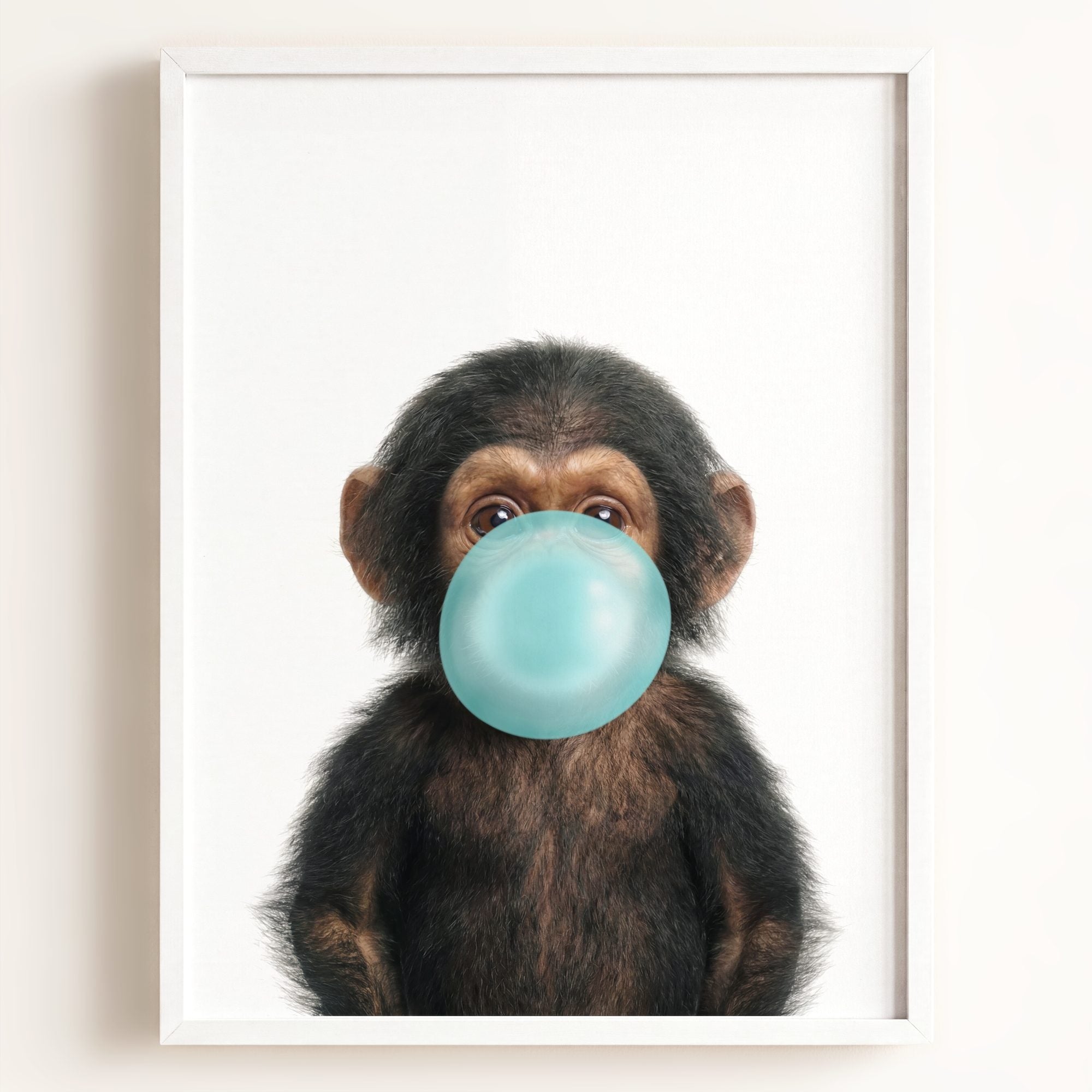 Baby Chimpanzee