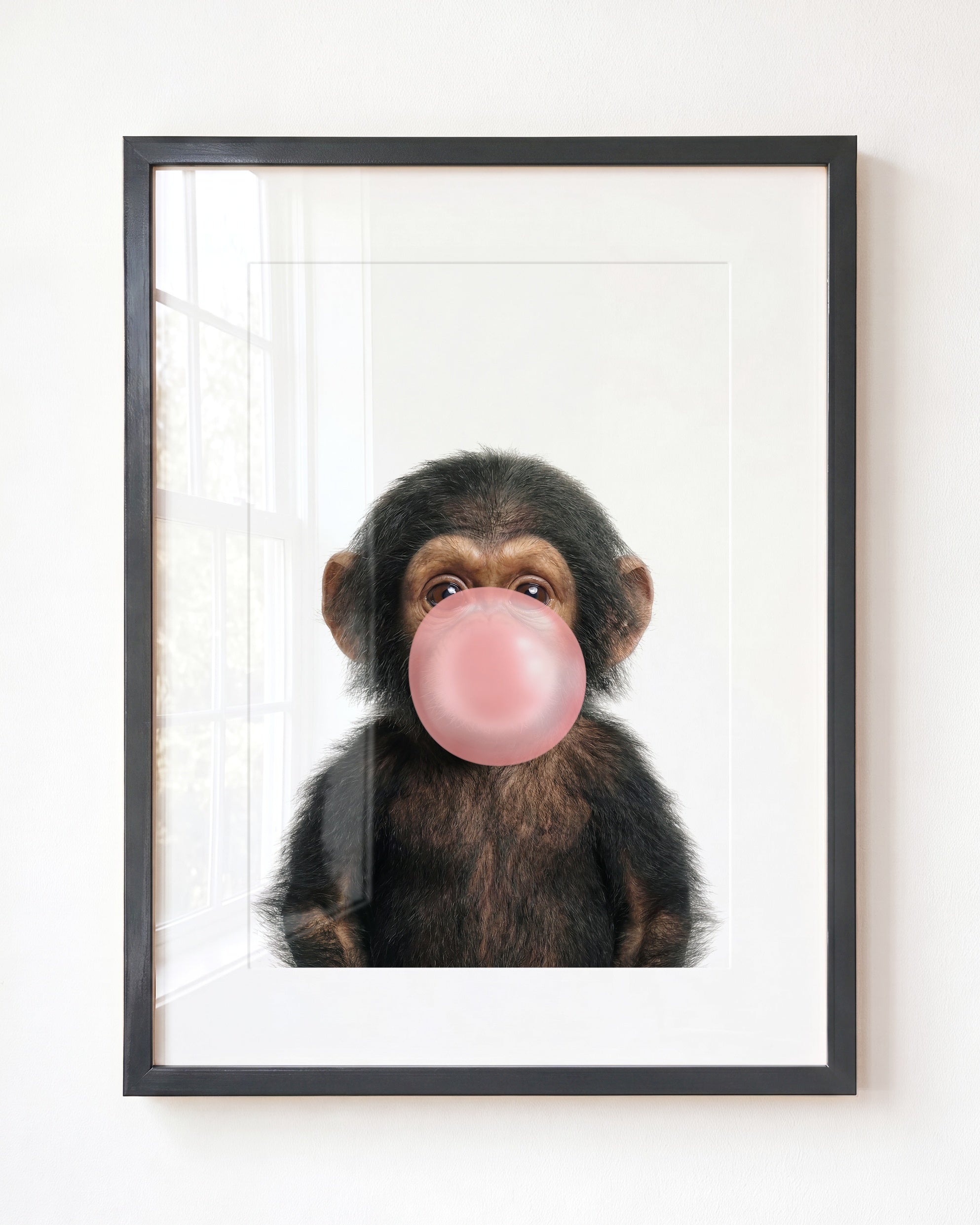 Baby Chimpanzee