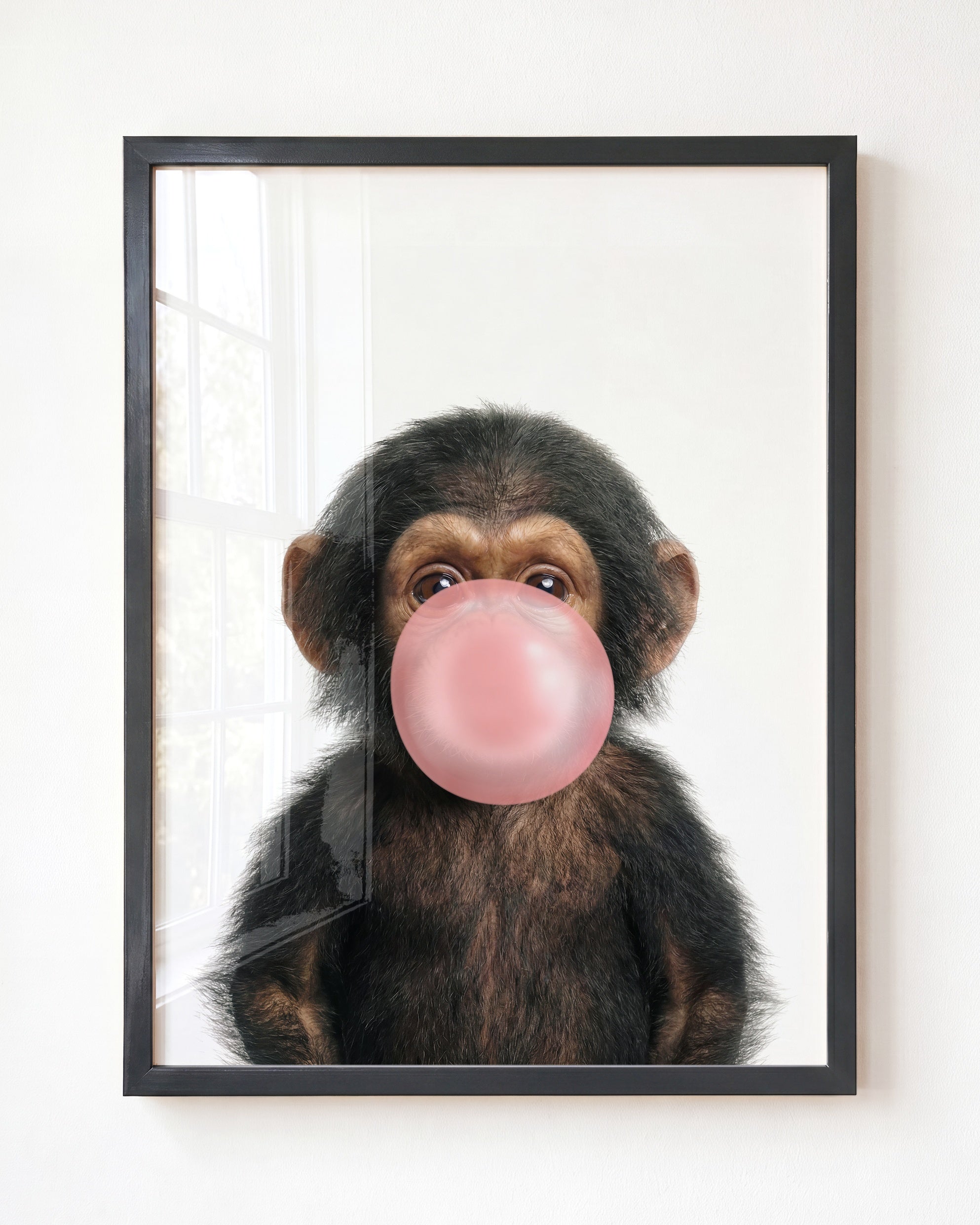 Baby Chimpanzee