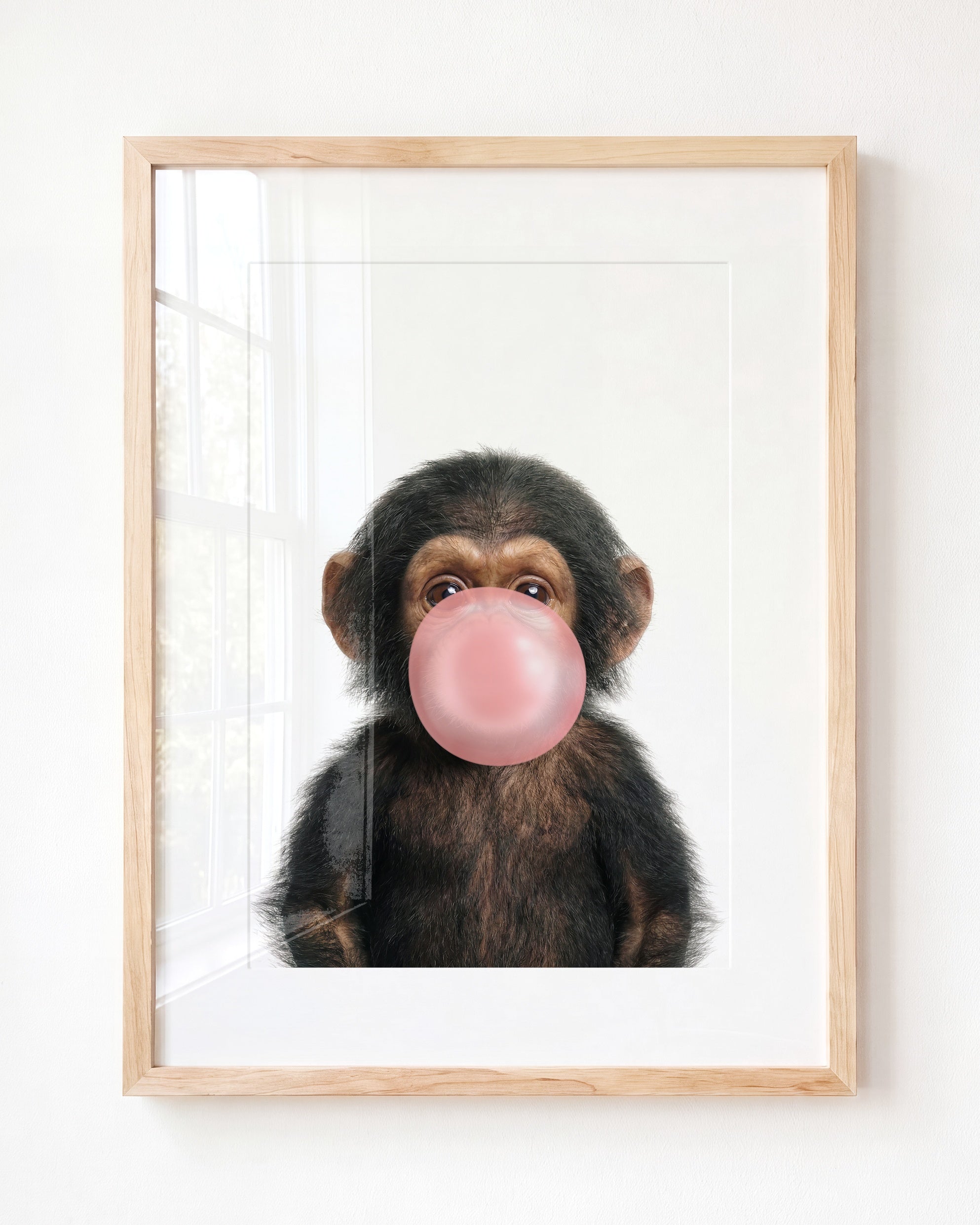 Baby Chimpanzee