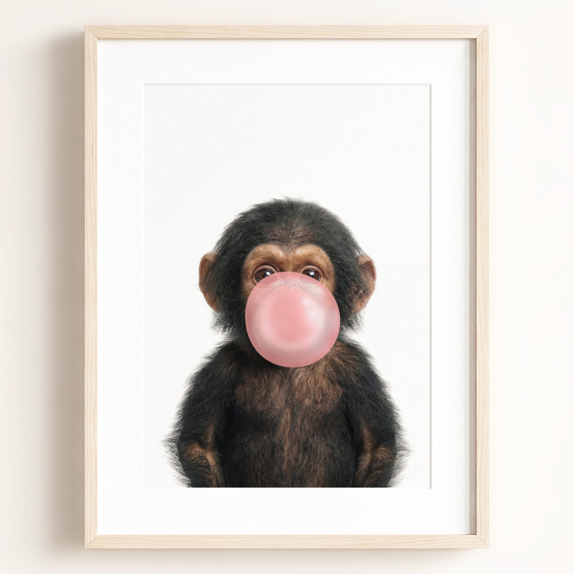 Baby Chimpanzee
