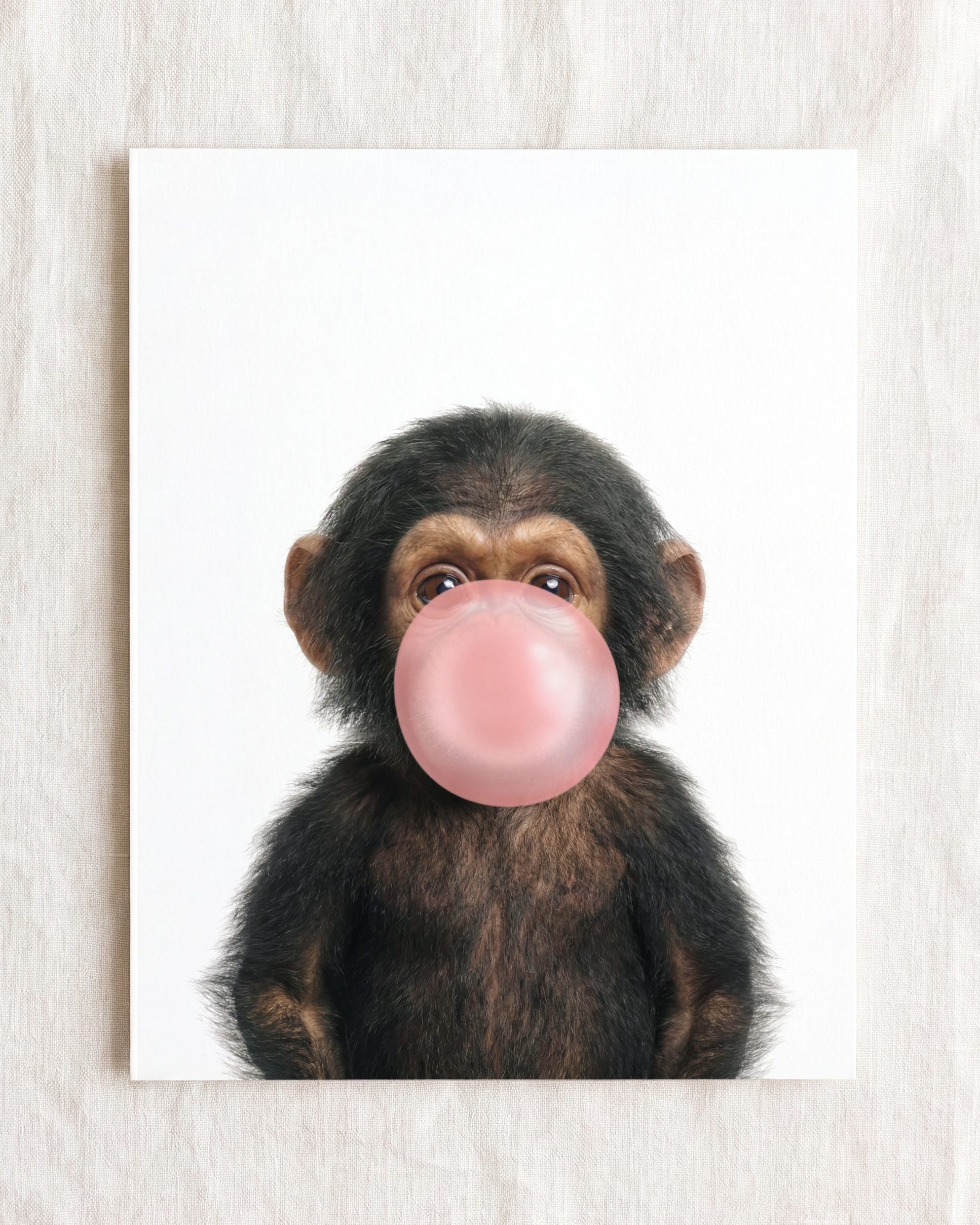 Baby Chimpanzee