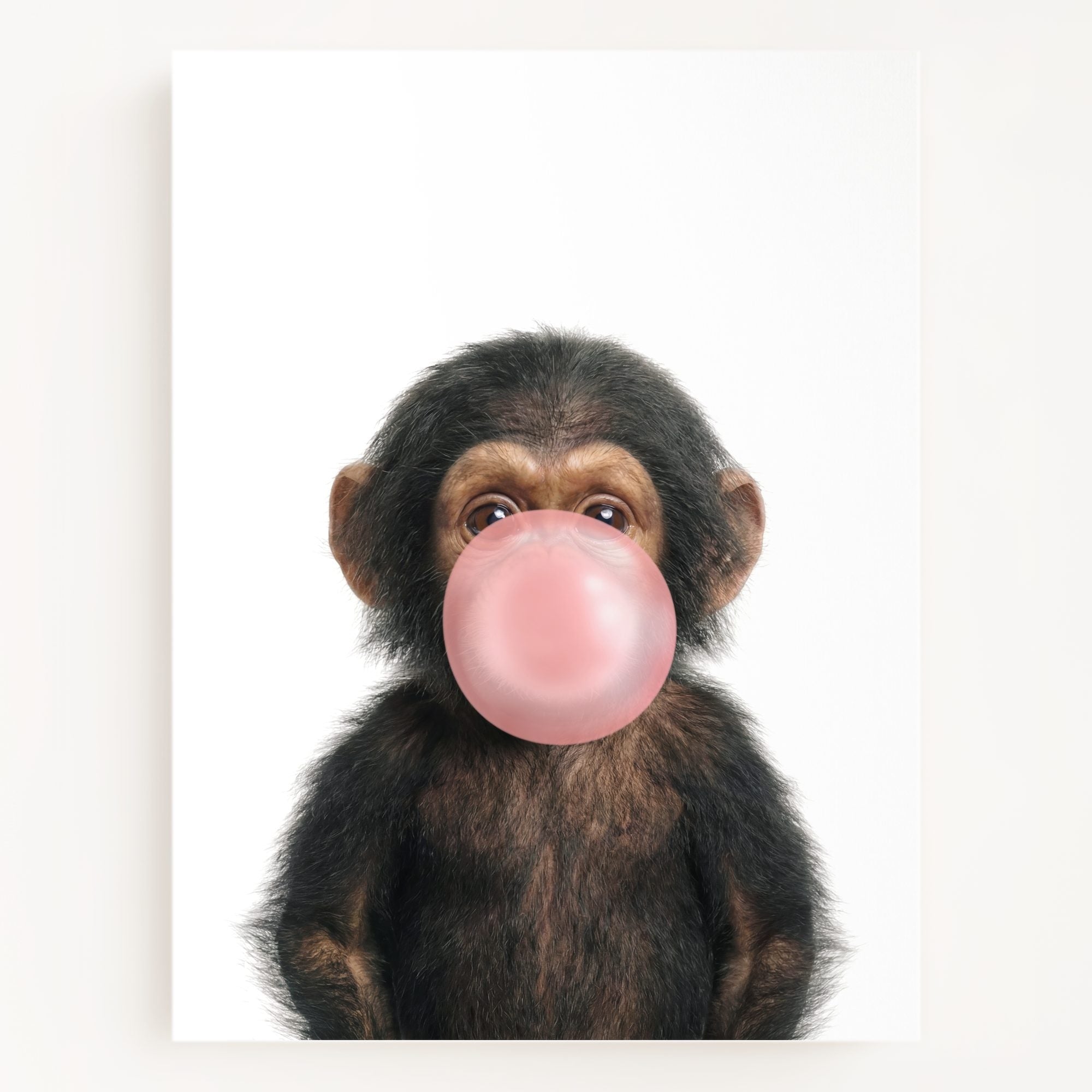 Baby Chimpanzee