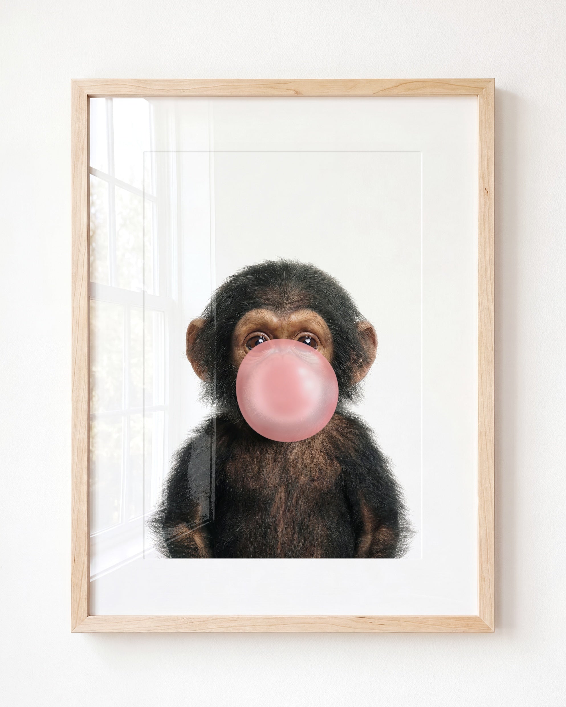 Baby Chimpanzee