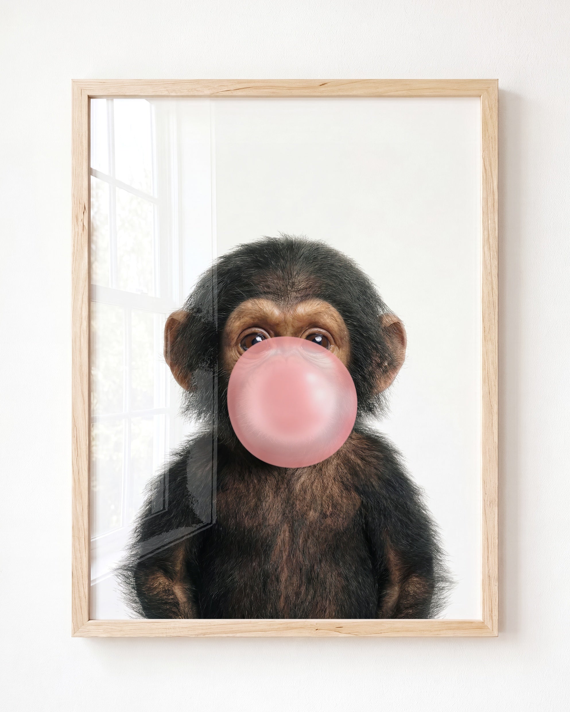 Baby Chimpanzee