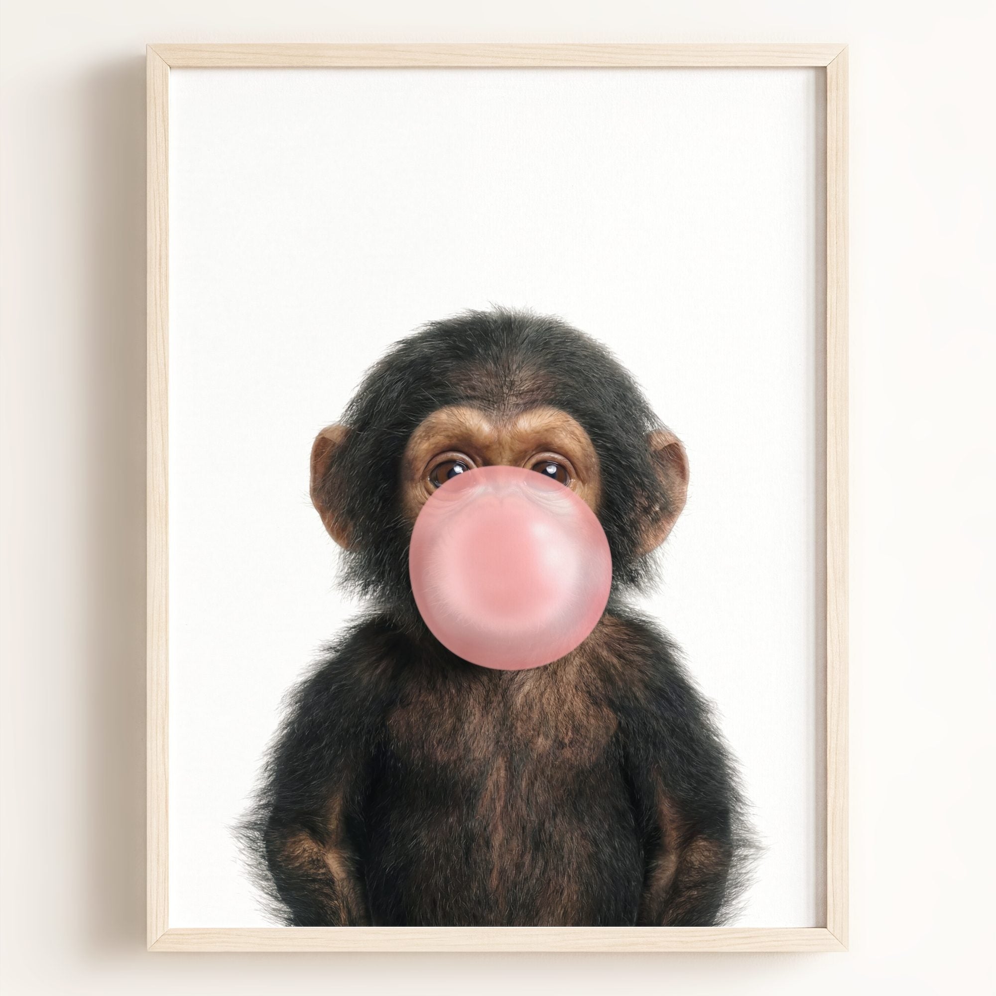 Baby Chimpanzee