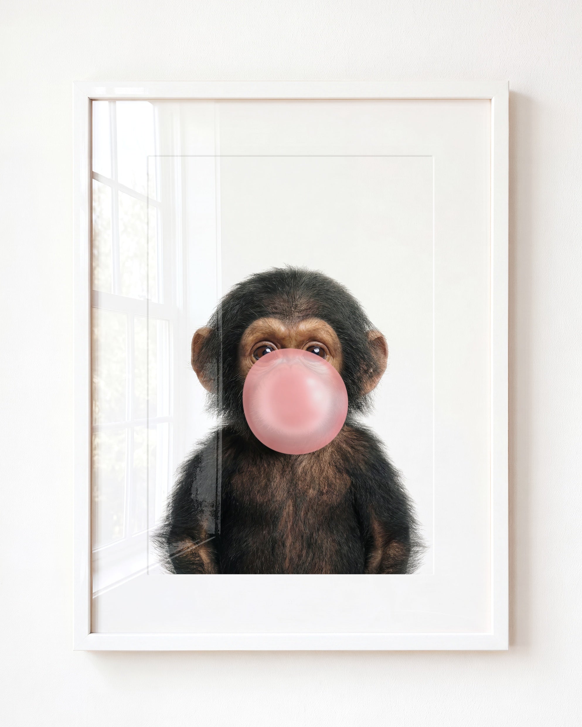 Baby Chimpanzee