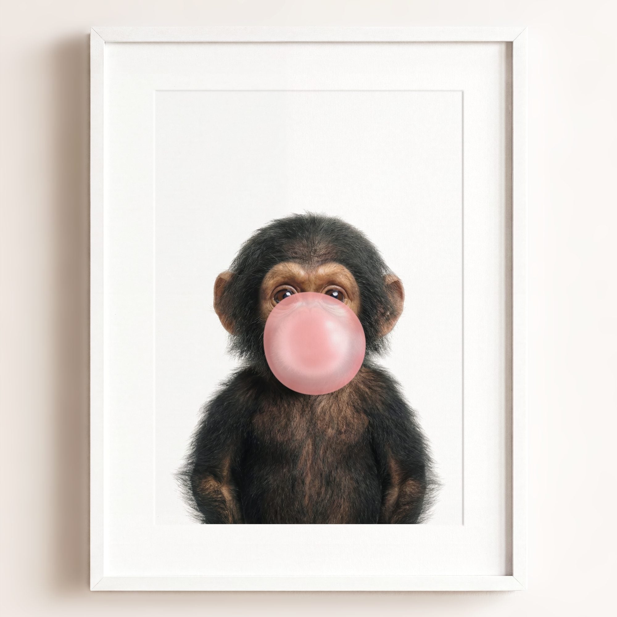 Baby Chimpanzee