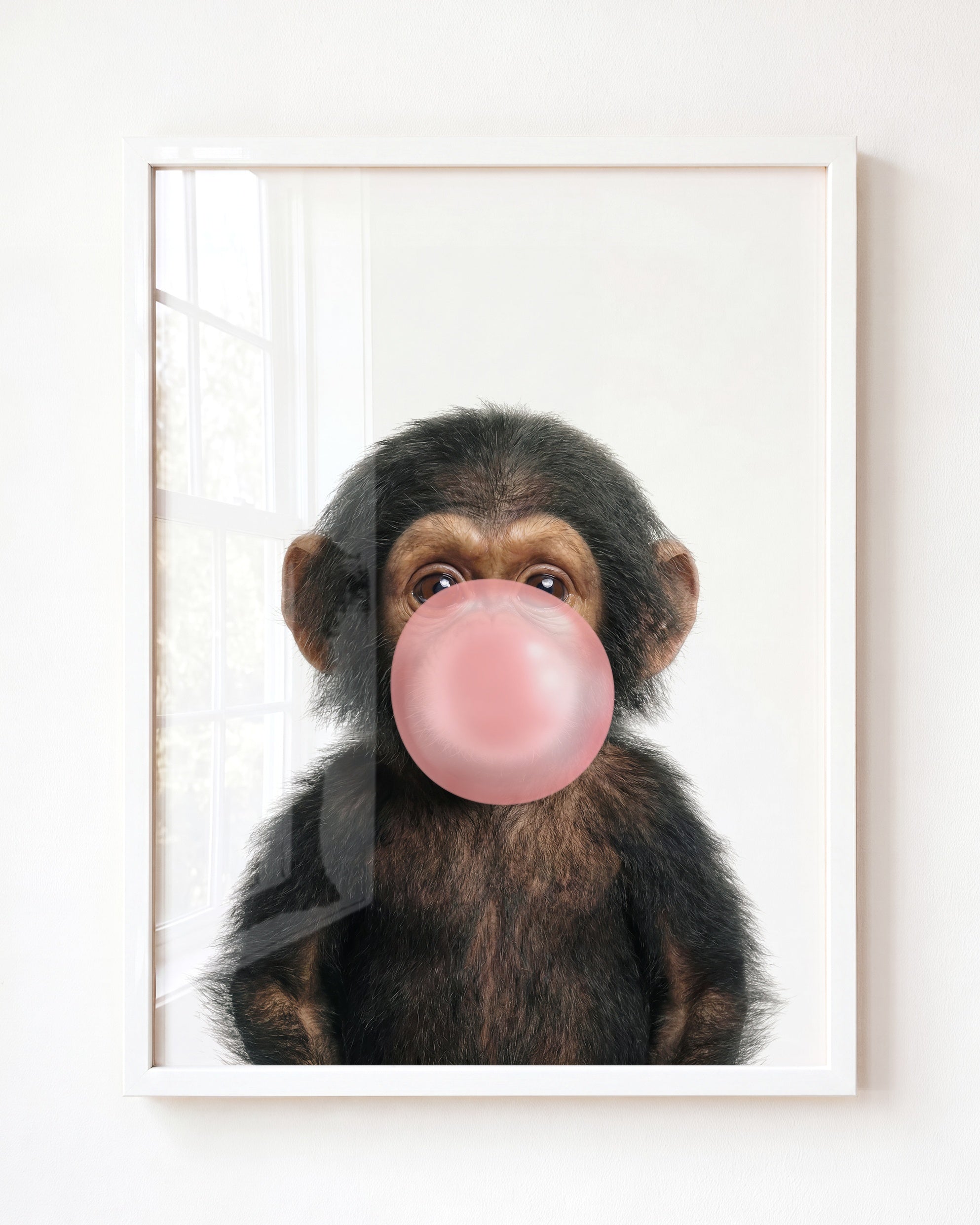 Baby Chimpanzee