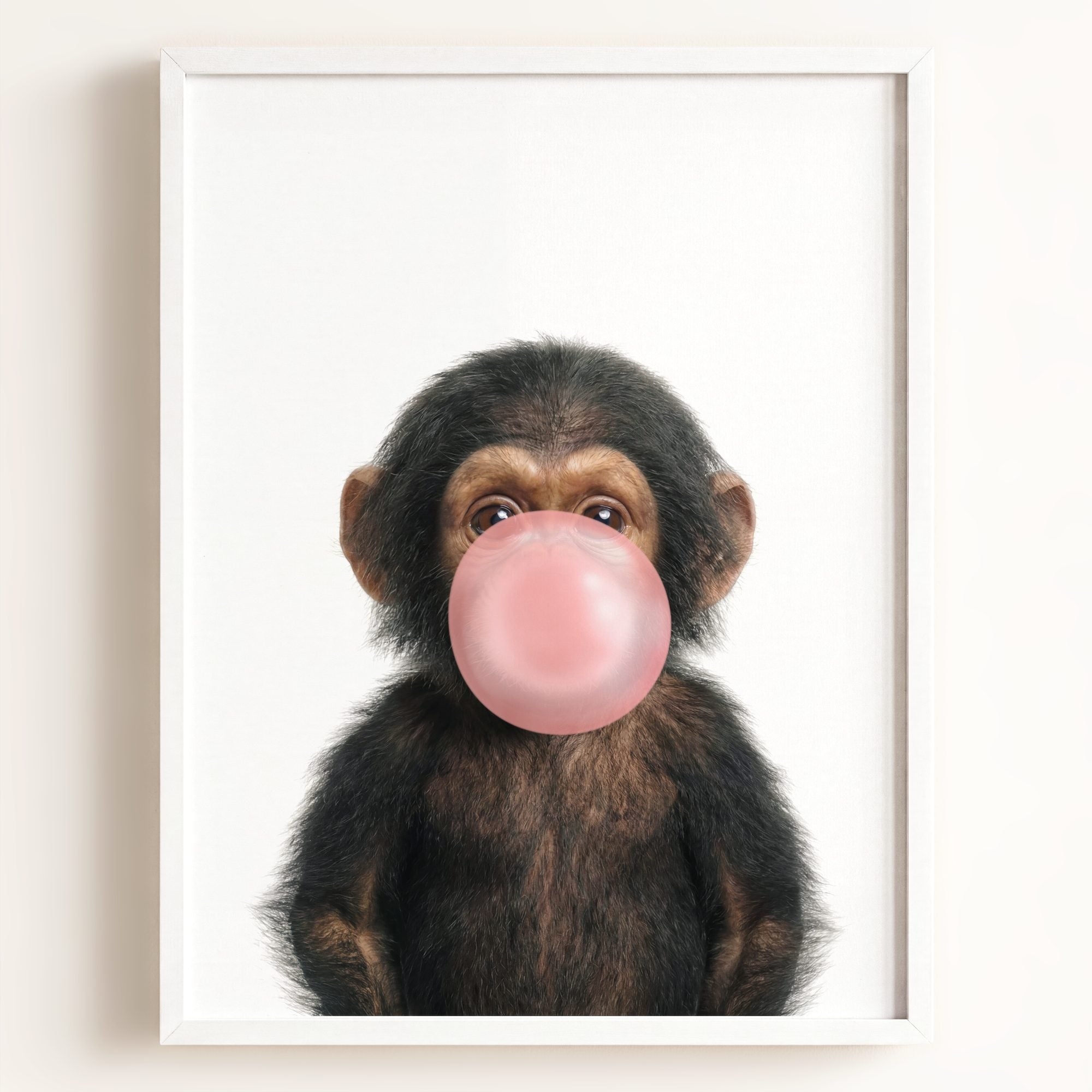 Baby Chimpanzee