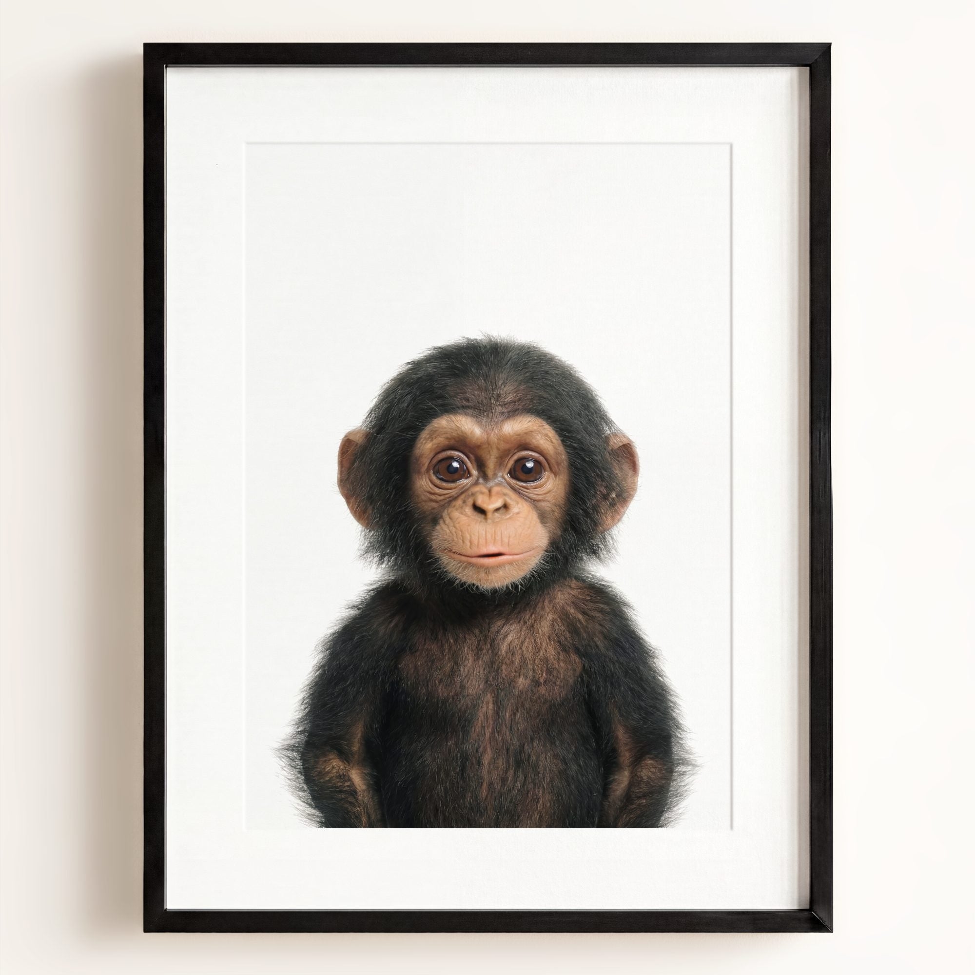 Baby Chimpanzee