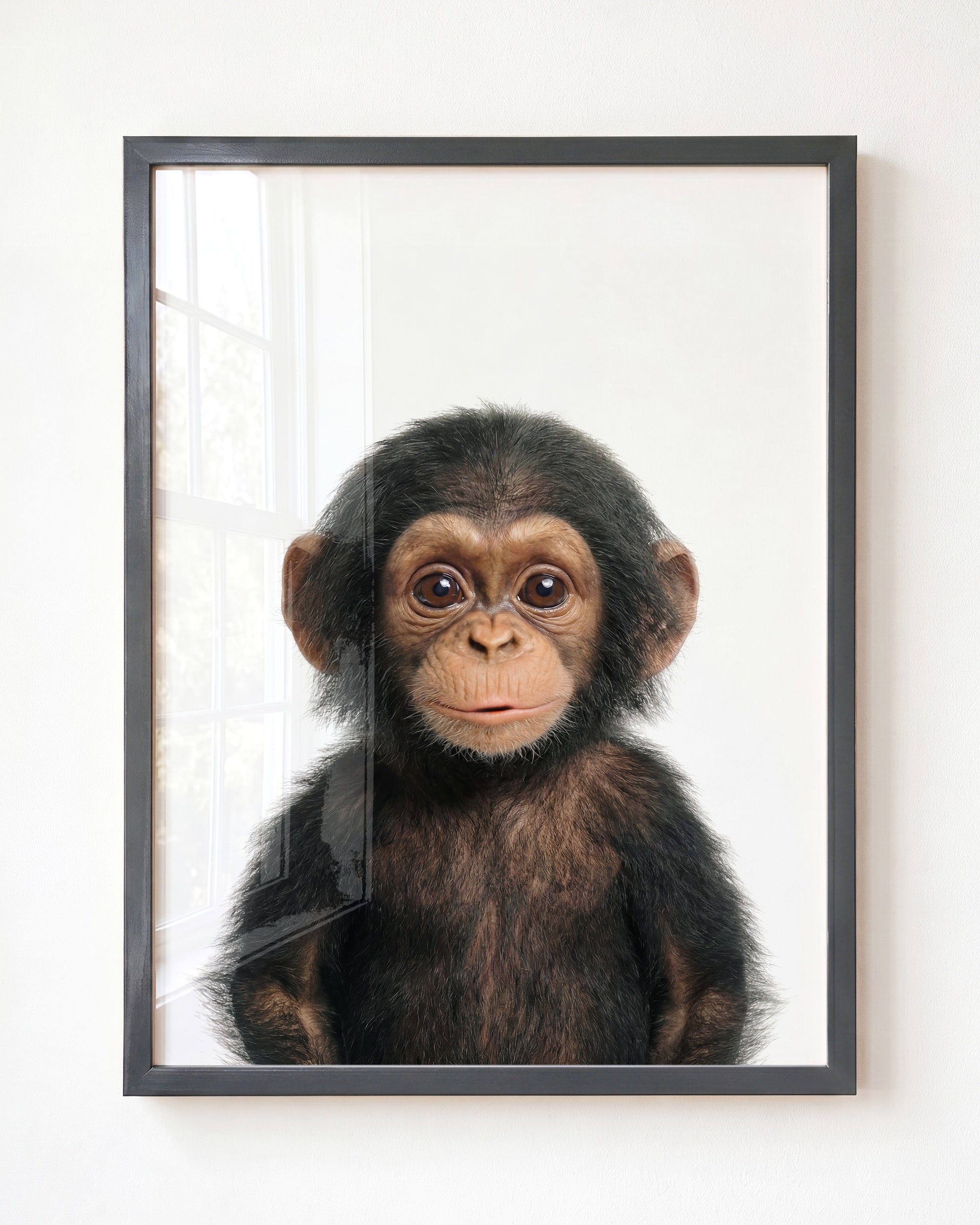 Baby Chimpanzee