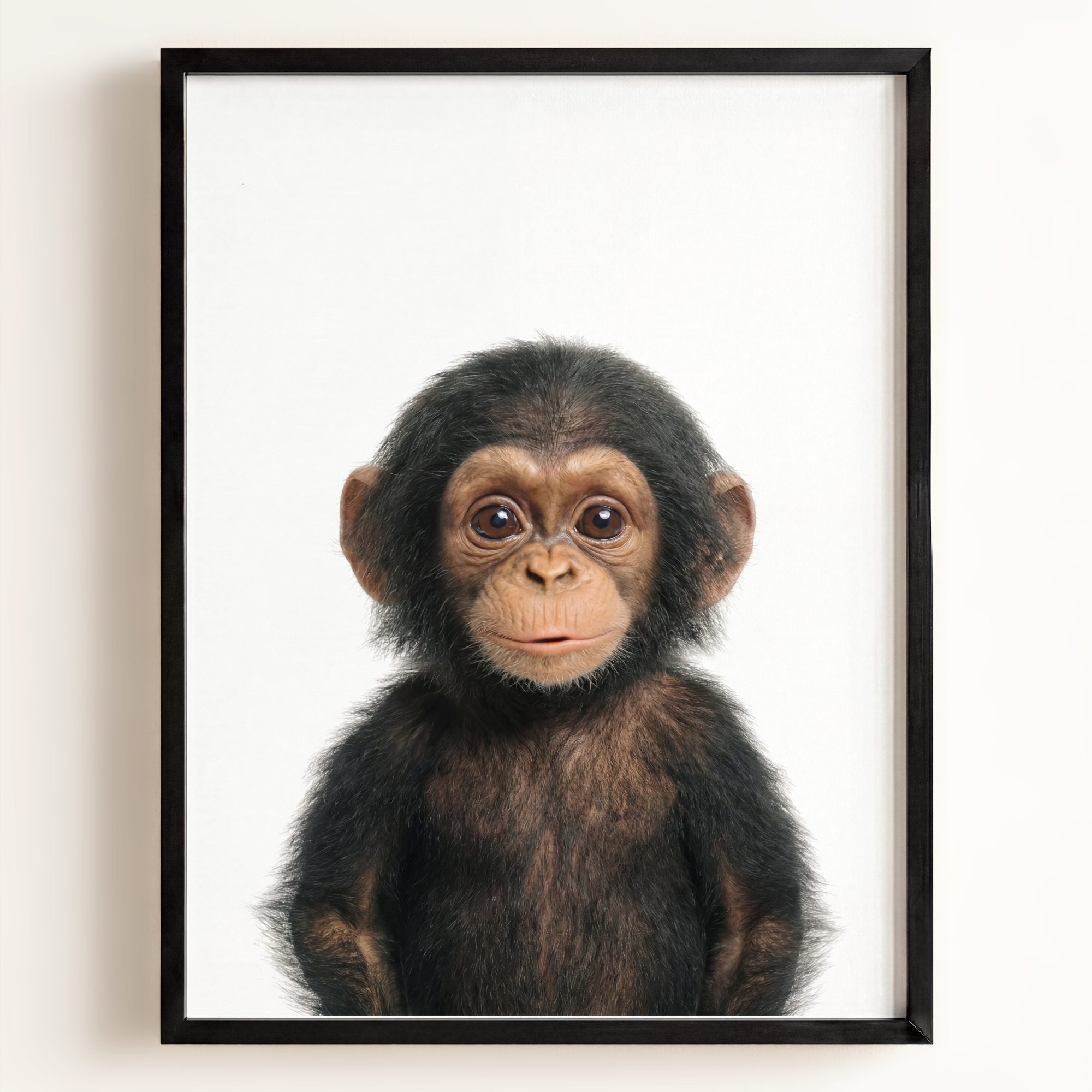 Baby Chimpanzee