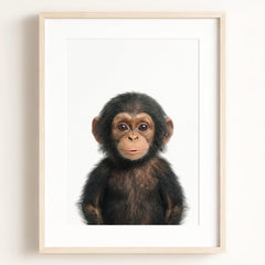 Baby Chimpanzee