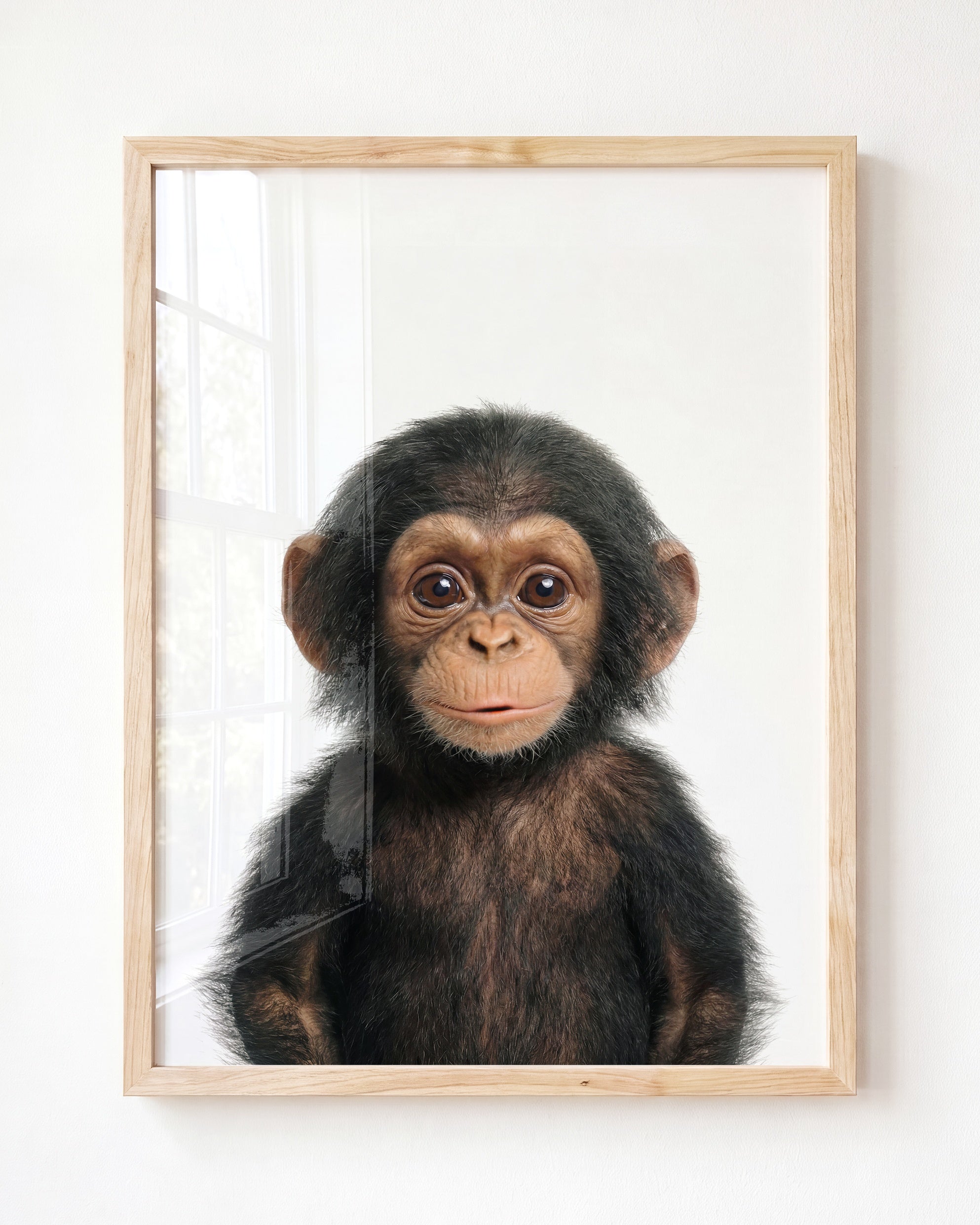 Baby Chimpanzee