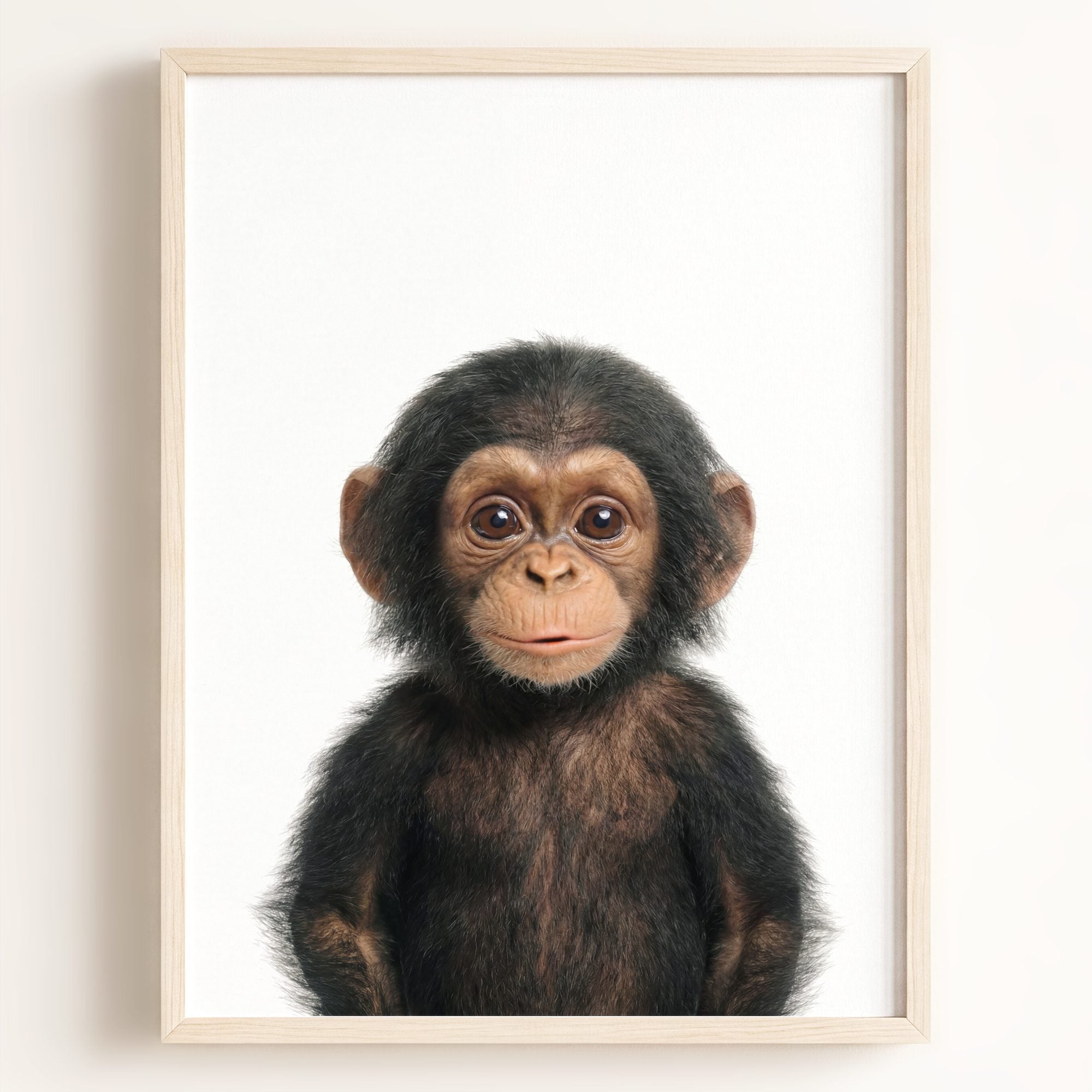 Baby Chimpanzee