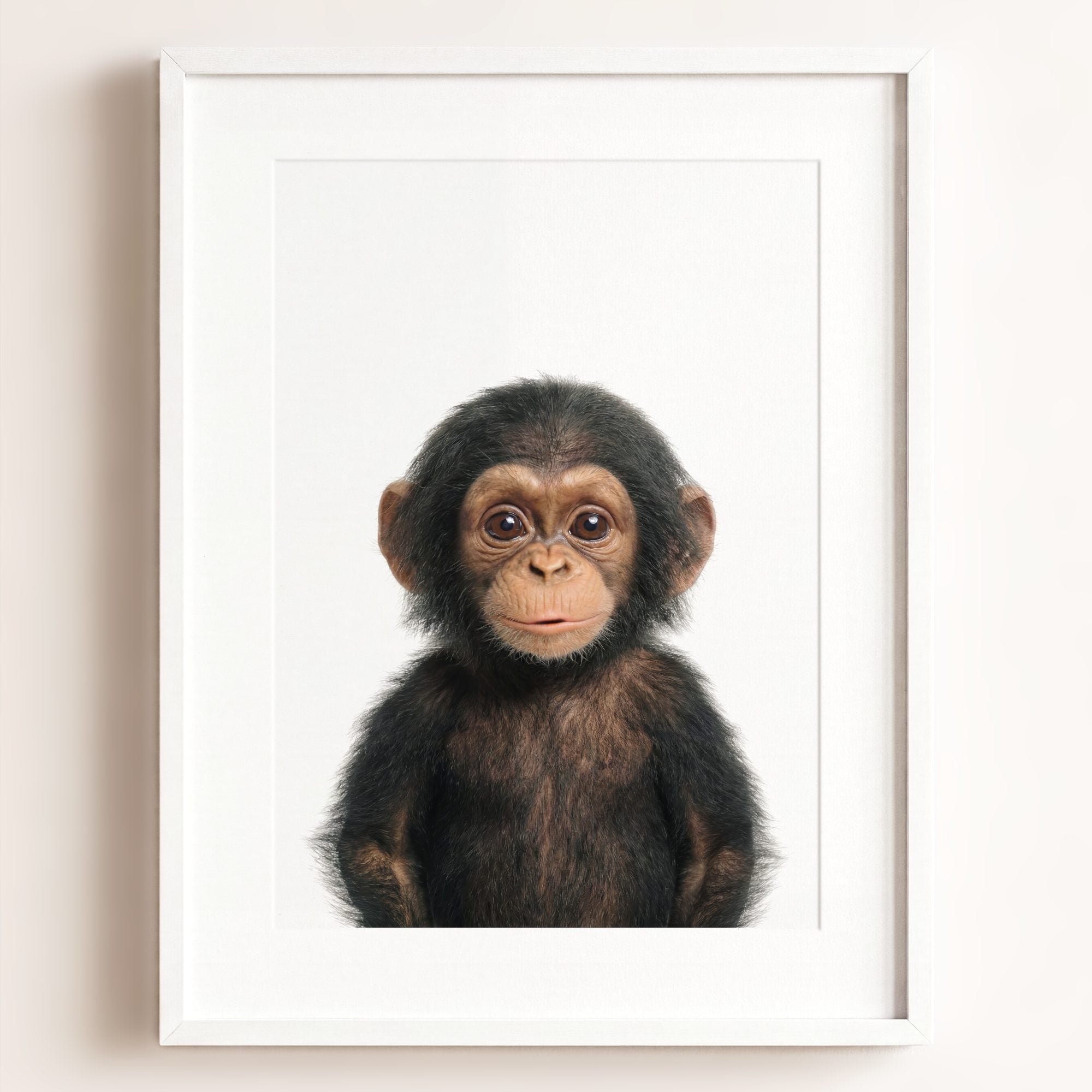 Baby Chimpanzee