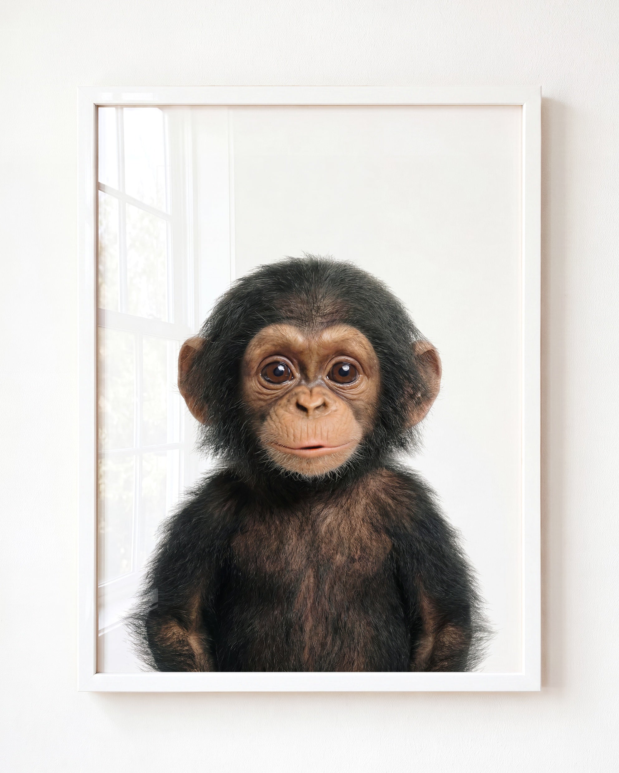 Baby Chimpanzee