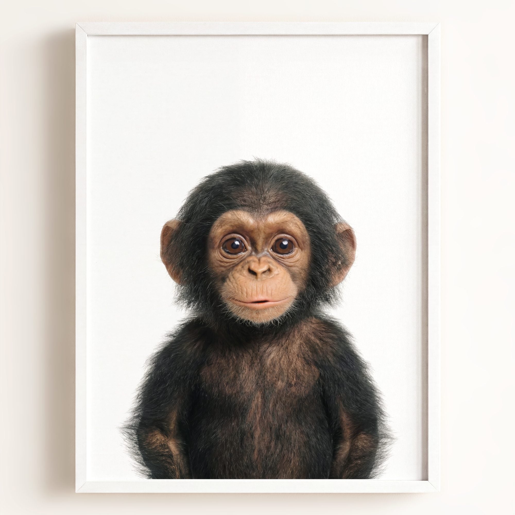 Baby Chimpanzee