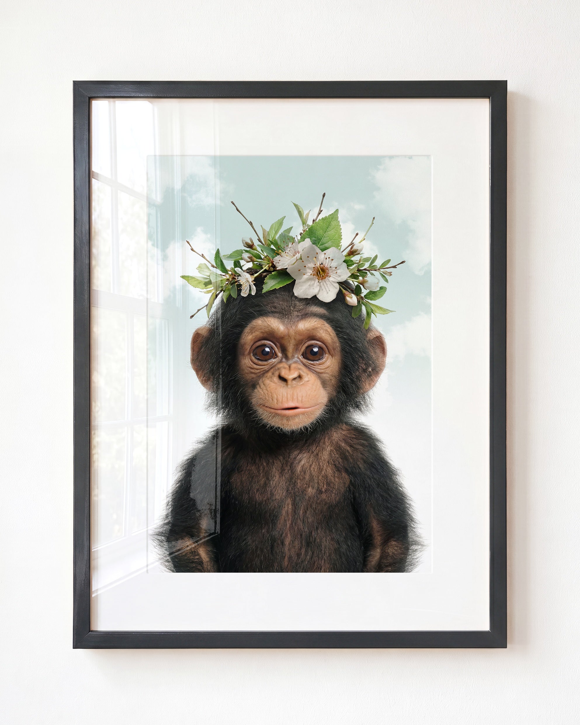 Baby Chimpanzee