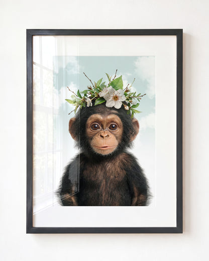 Baby Chimpanzee