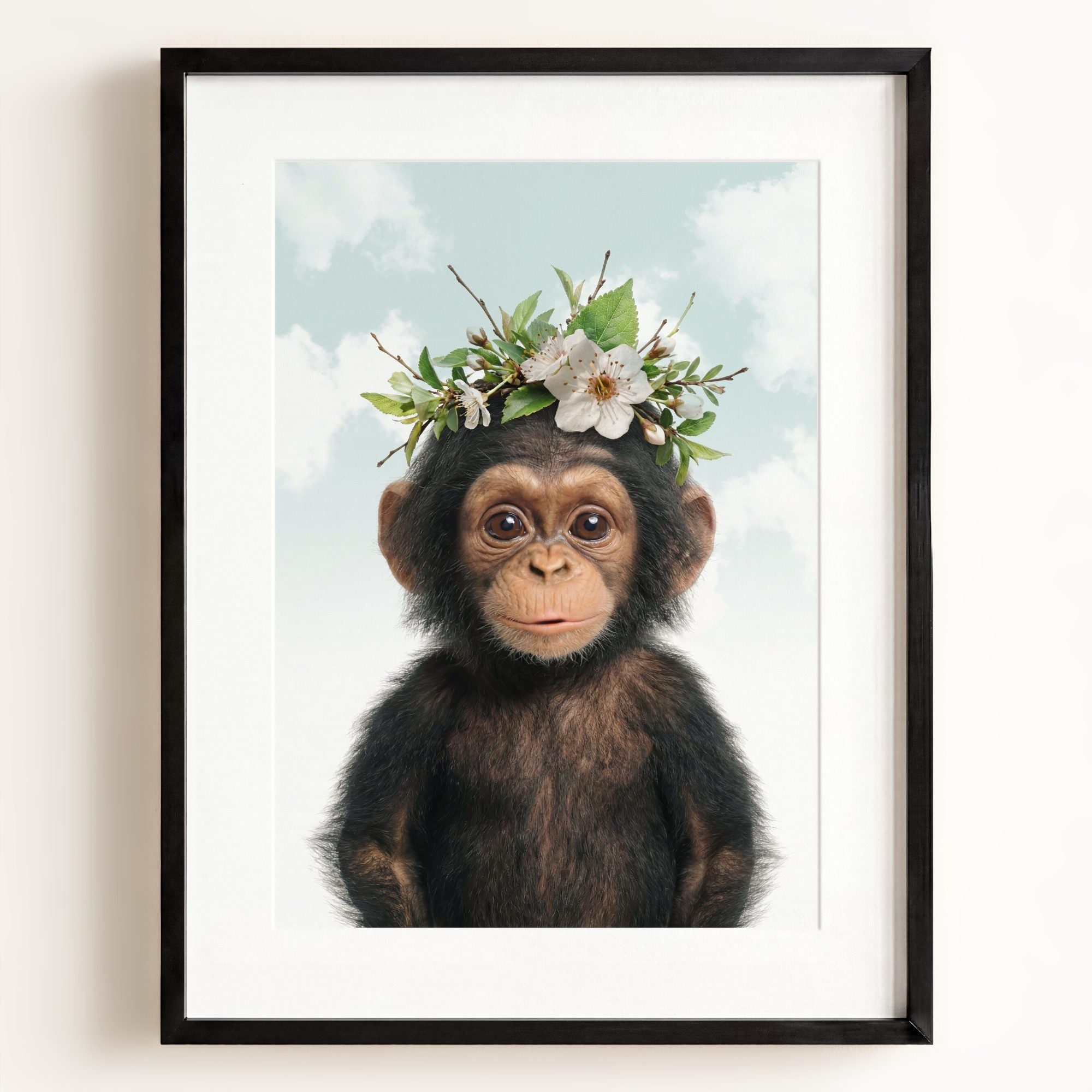 Baby Chimpanzee