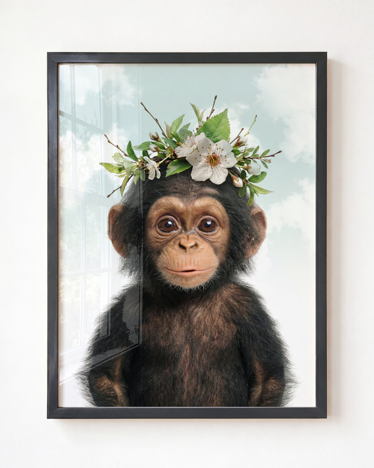 Baby Chimpanzee