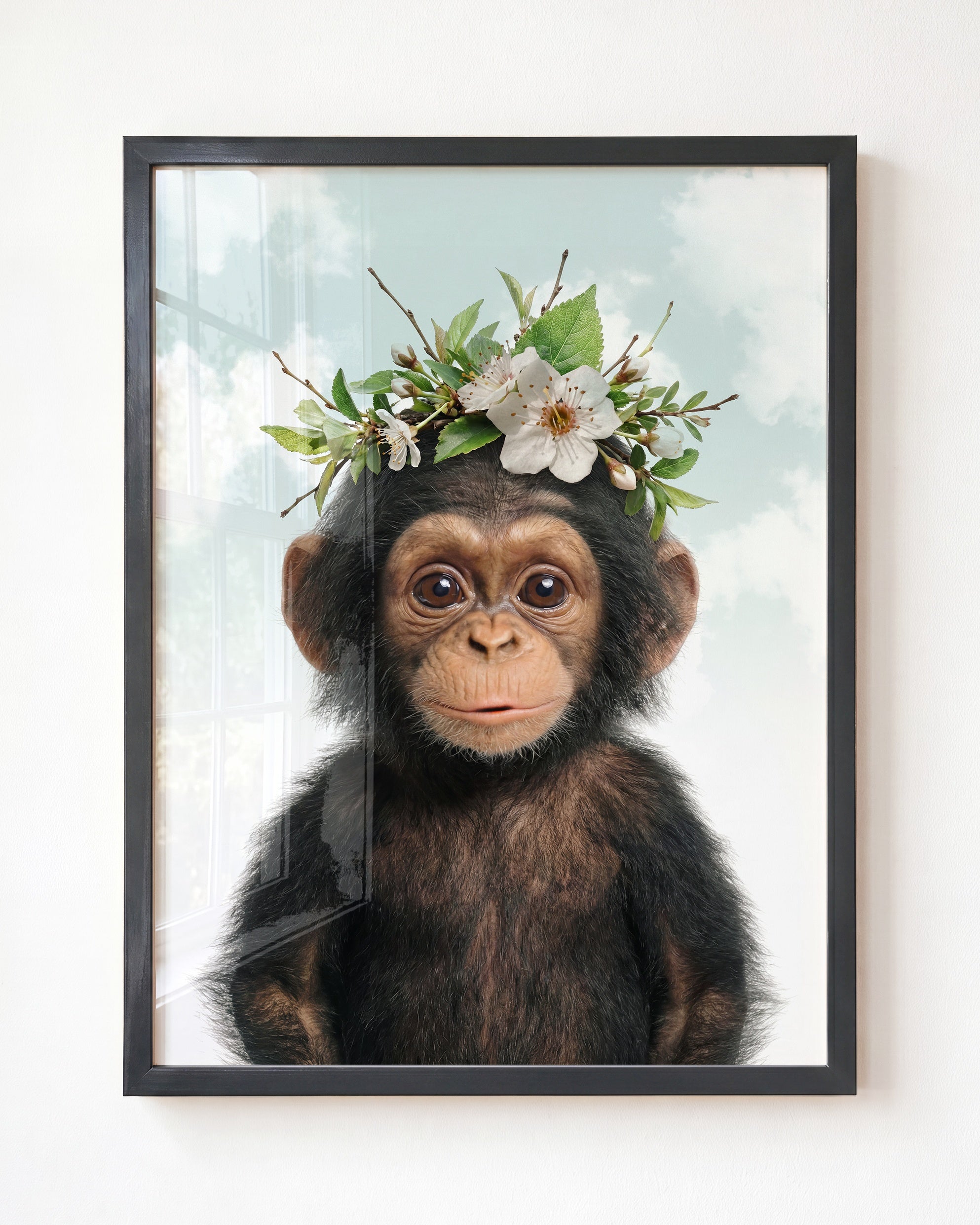 Baby Chimpanzee