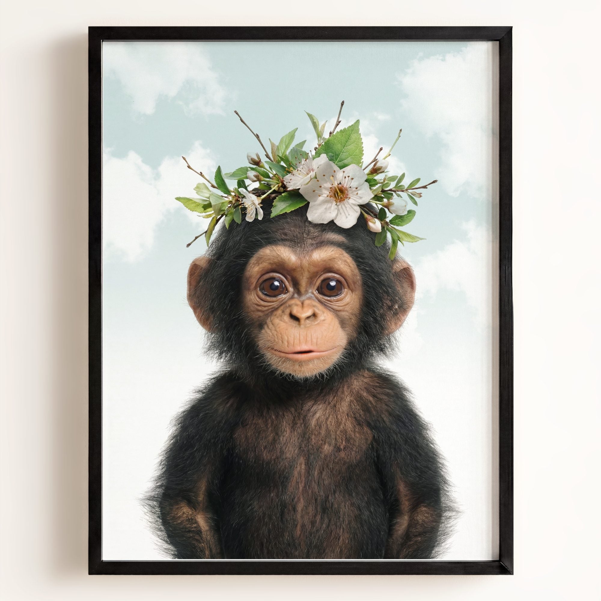 Baby Chimpanzee