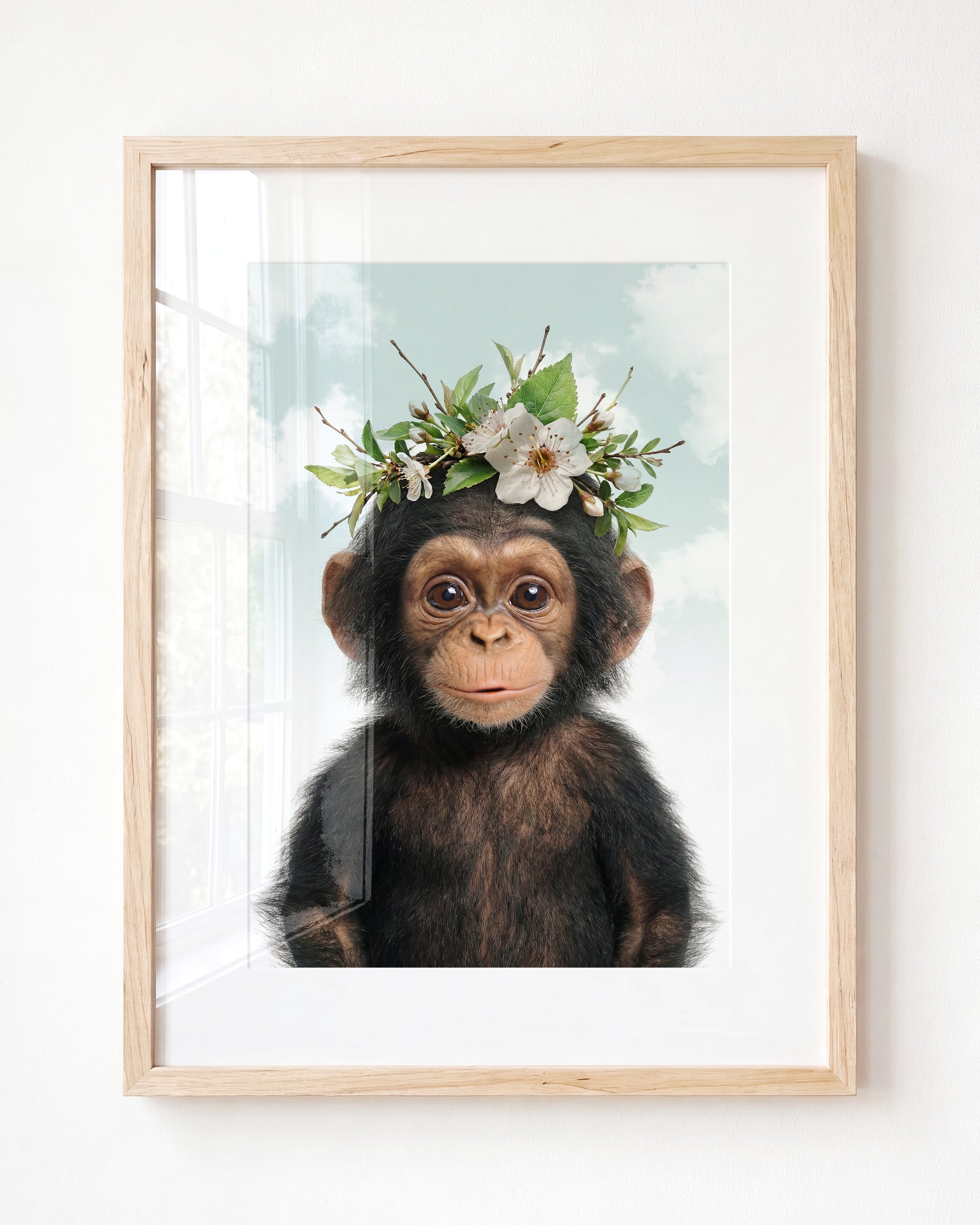 Baby Chimpanzee